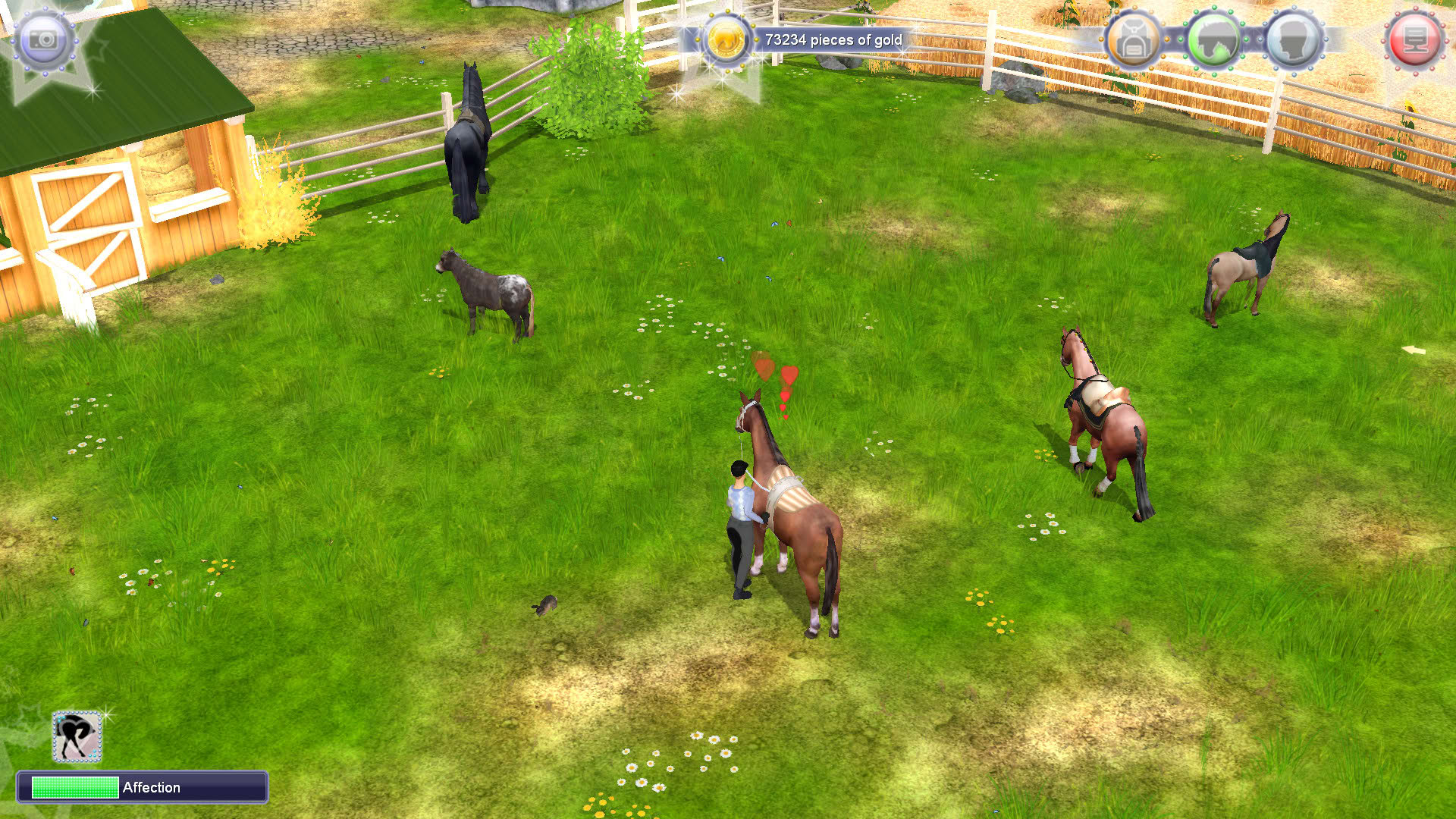 Screenshot for EquiMagic: Galashow of Horses