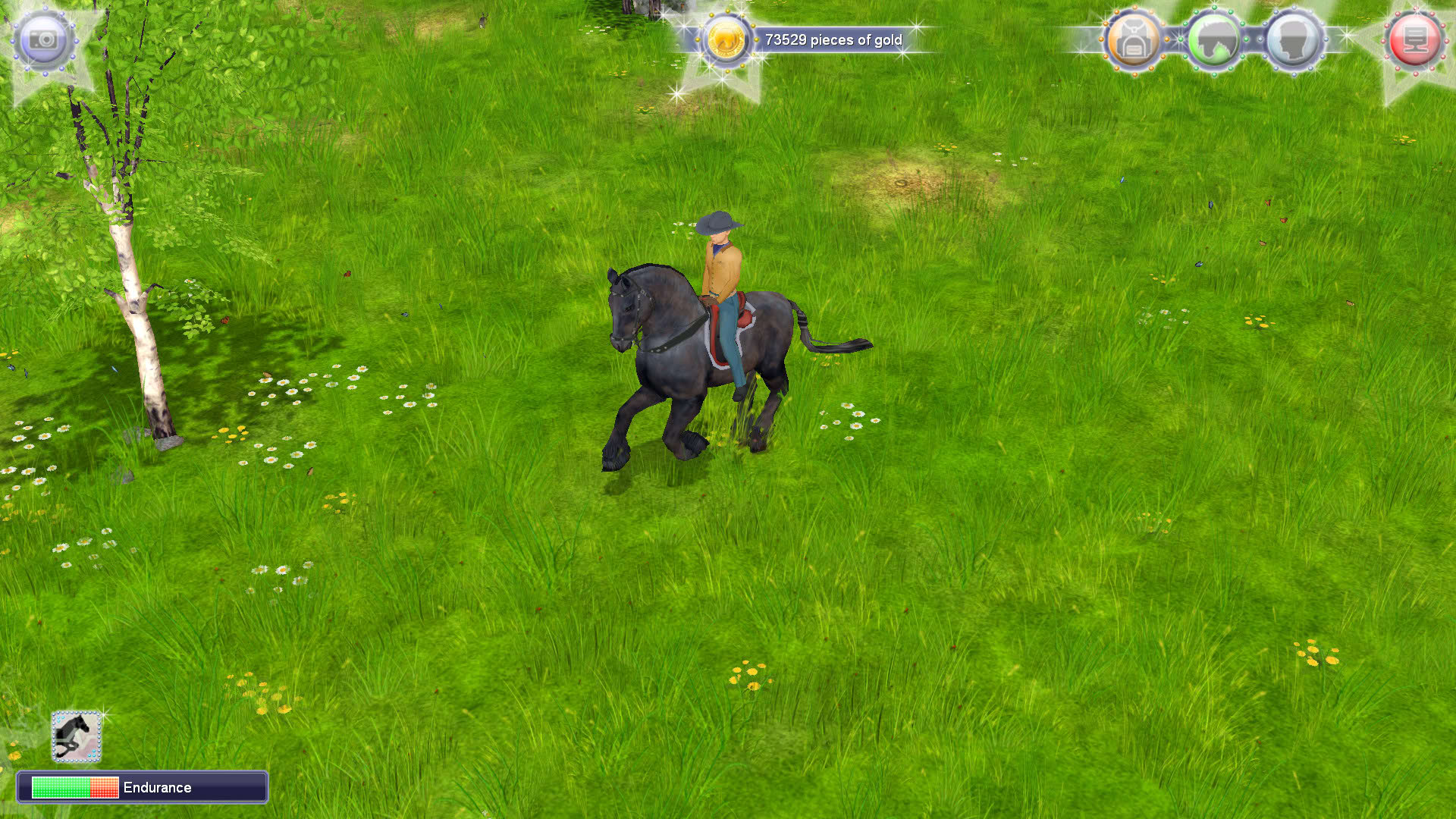 Screenshot for EquiMagic: Galashow of Horses