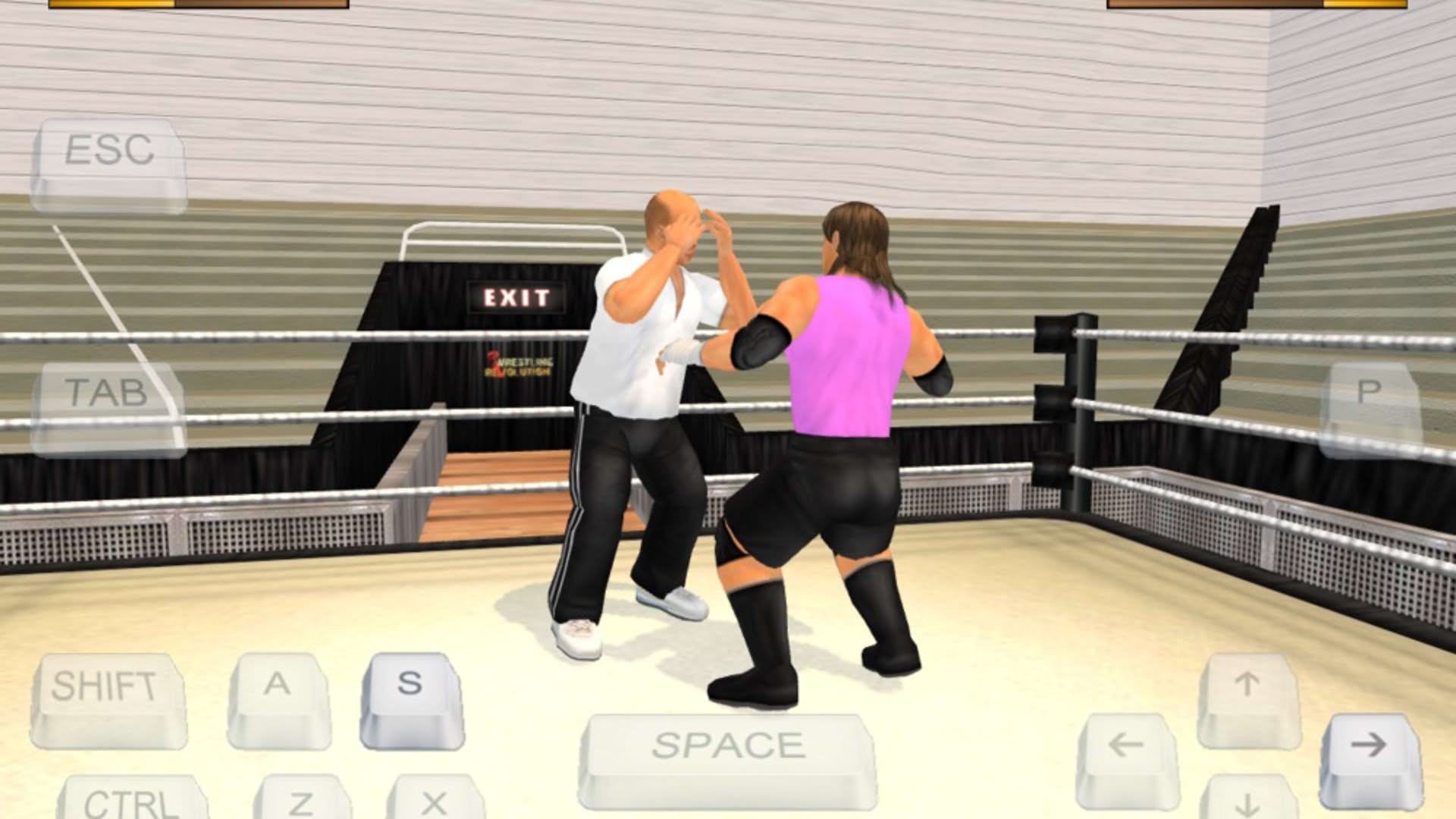 Screenshot for Wrestling Revolution 3D