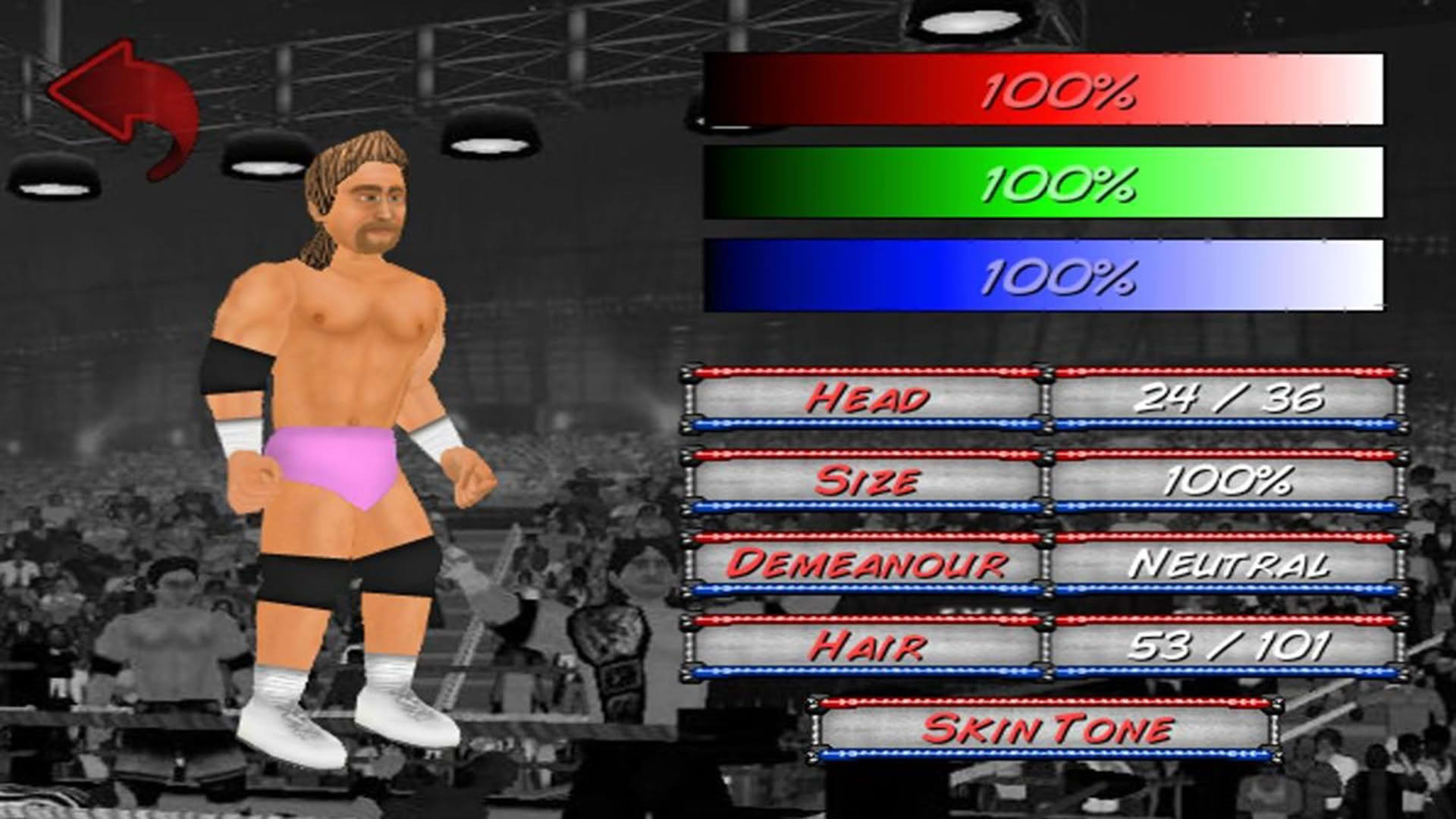 Screenshot for Wrestling Revolution 2D