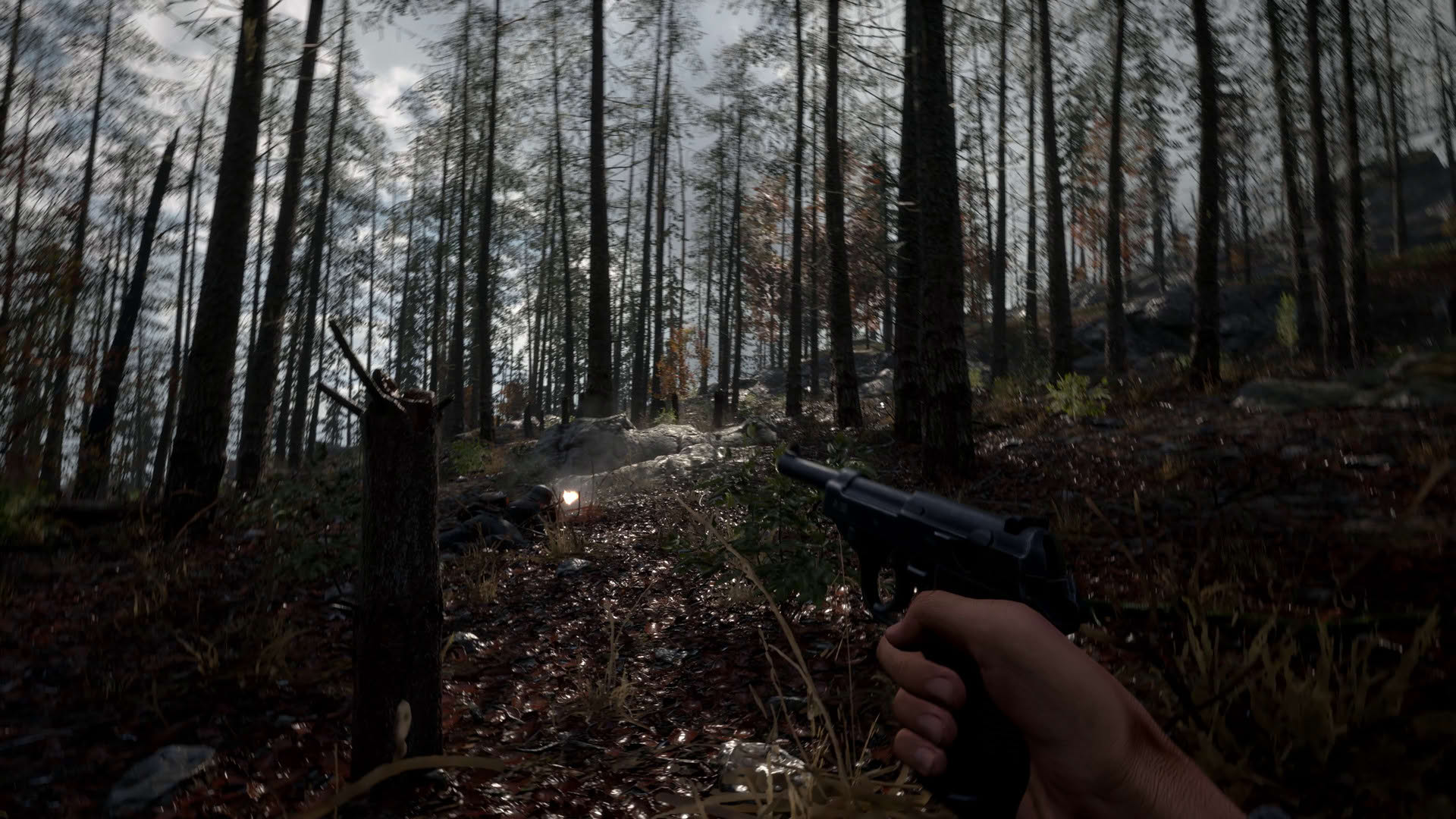 Screenshot for Hell Let Loose