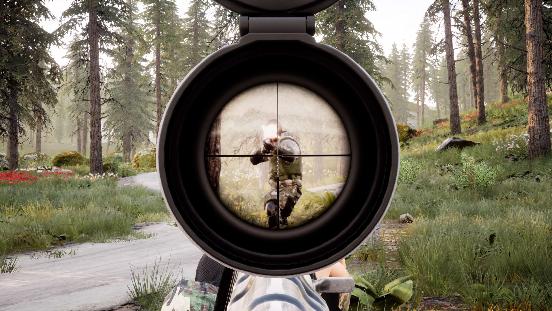Screenshot for Beyond Enemy Lines 2