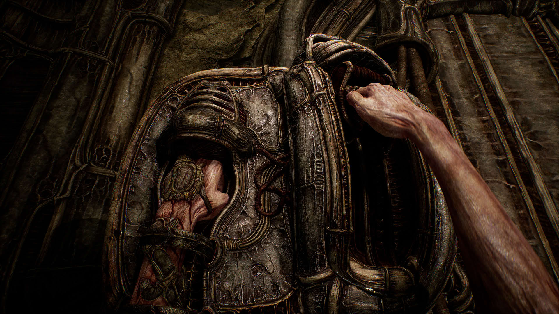 Screenshot for Scorn