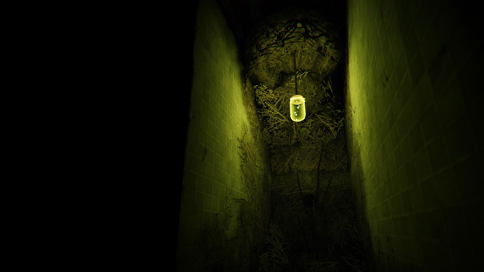 Screenshot for Phasmophobia