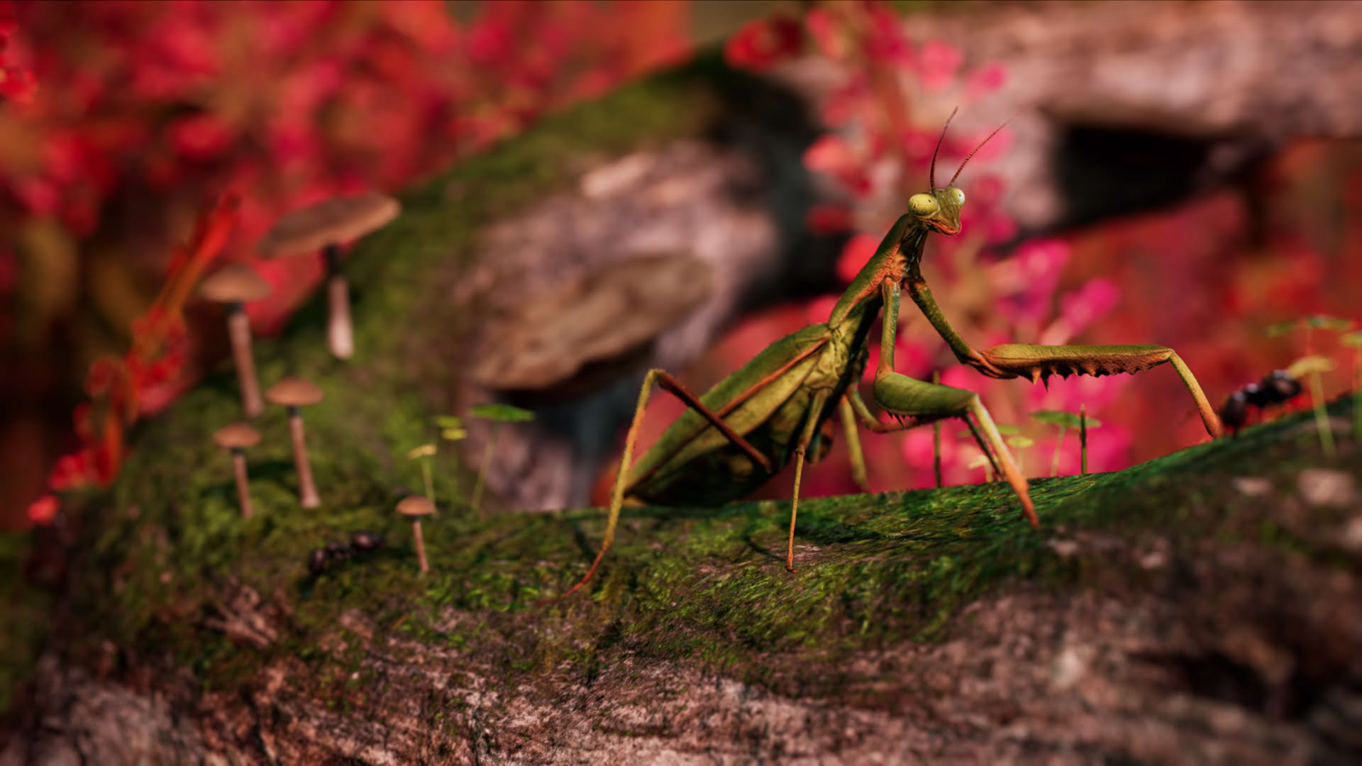 Screenshot for Away: The Survival Series