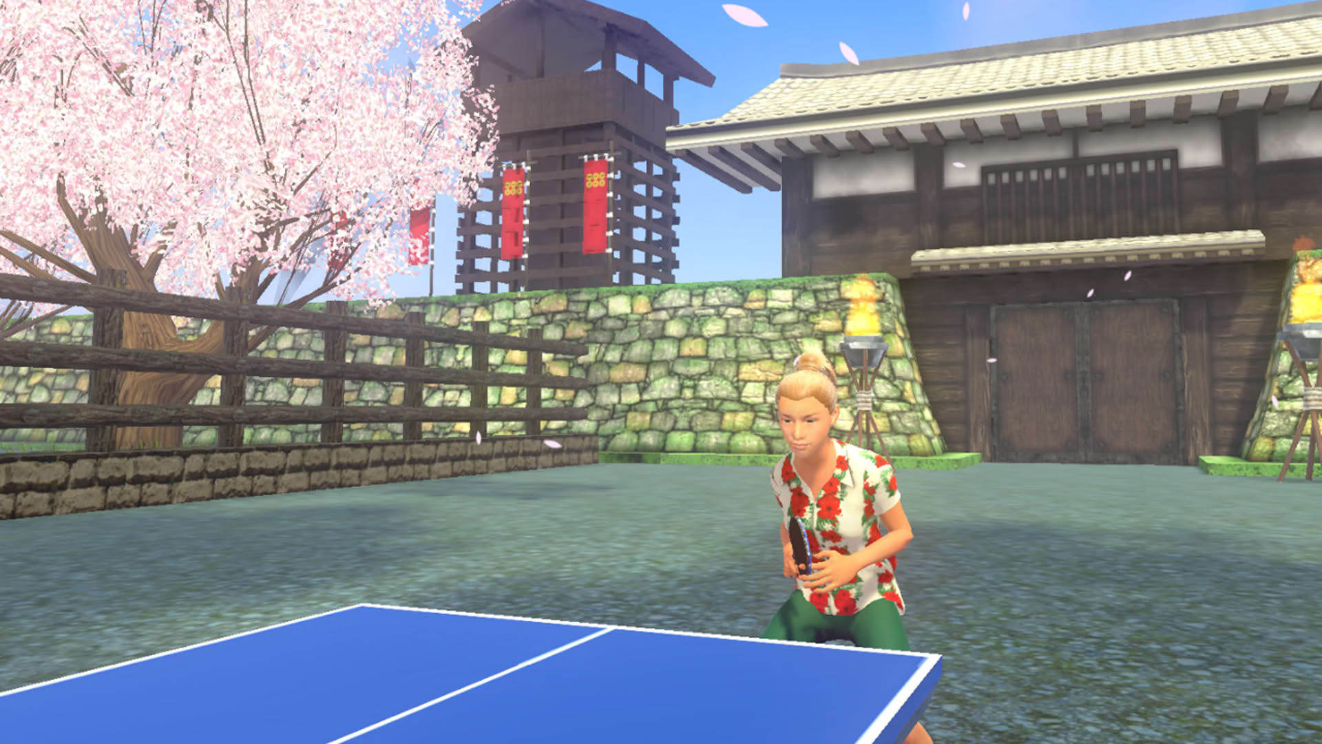 Screenshot for VR Ping Pong Paradise