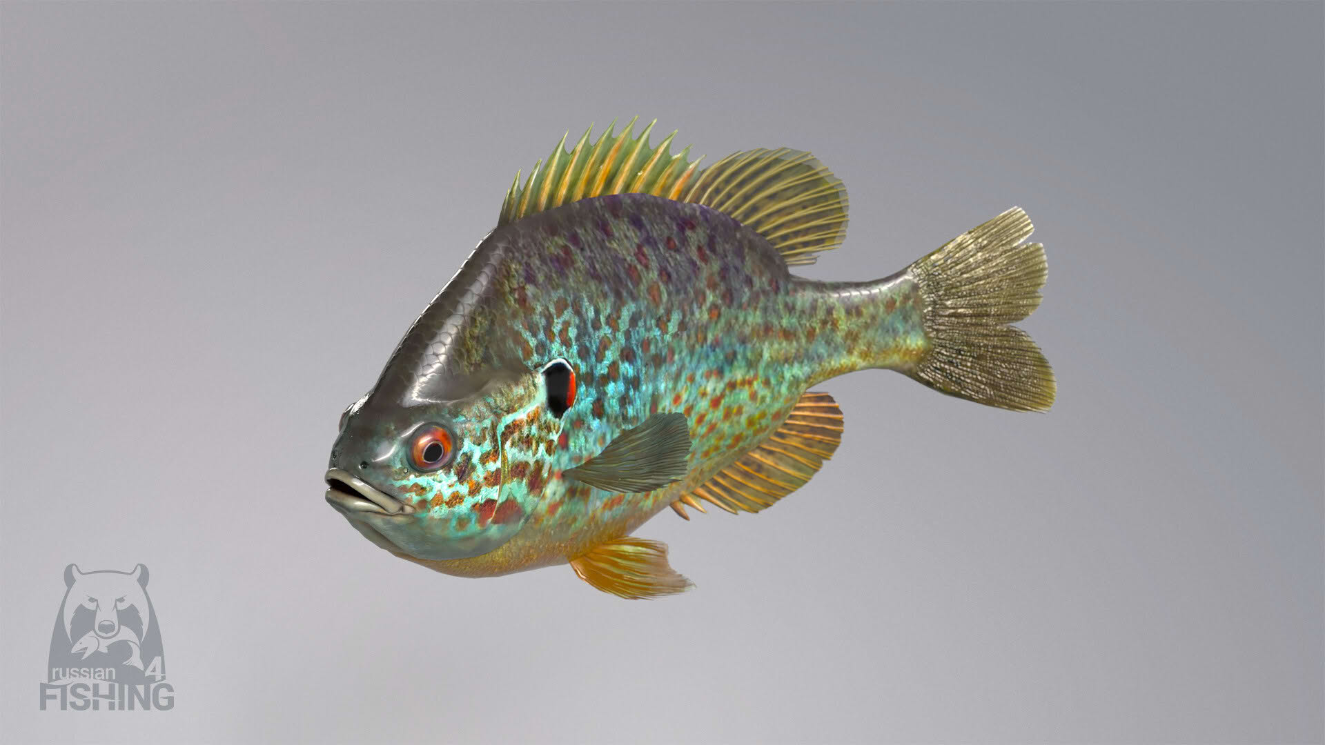 Screenshot for Russian Fishing 4