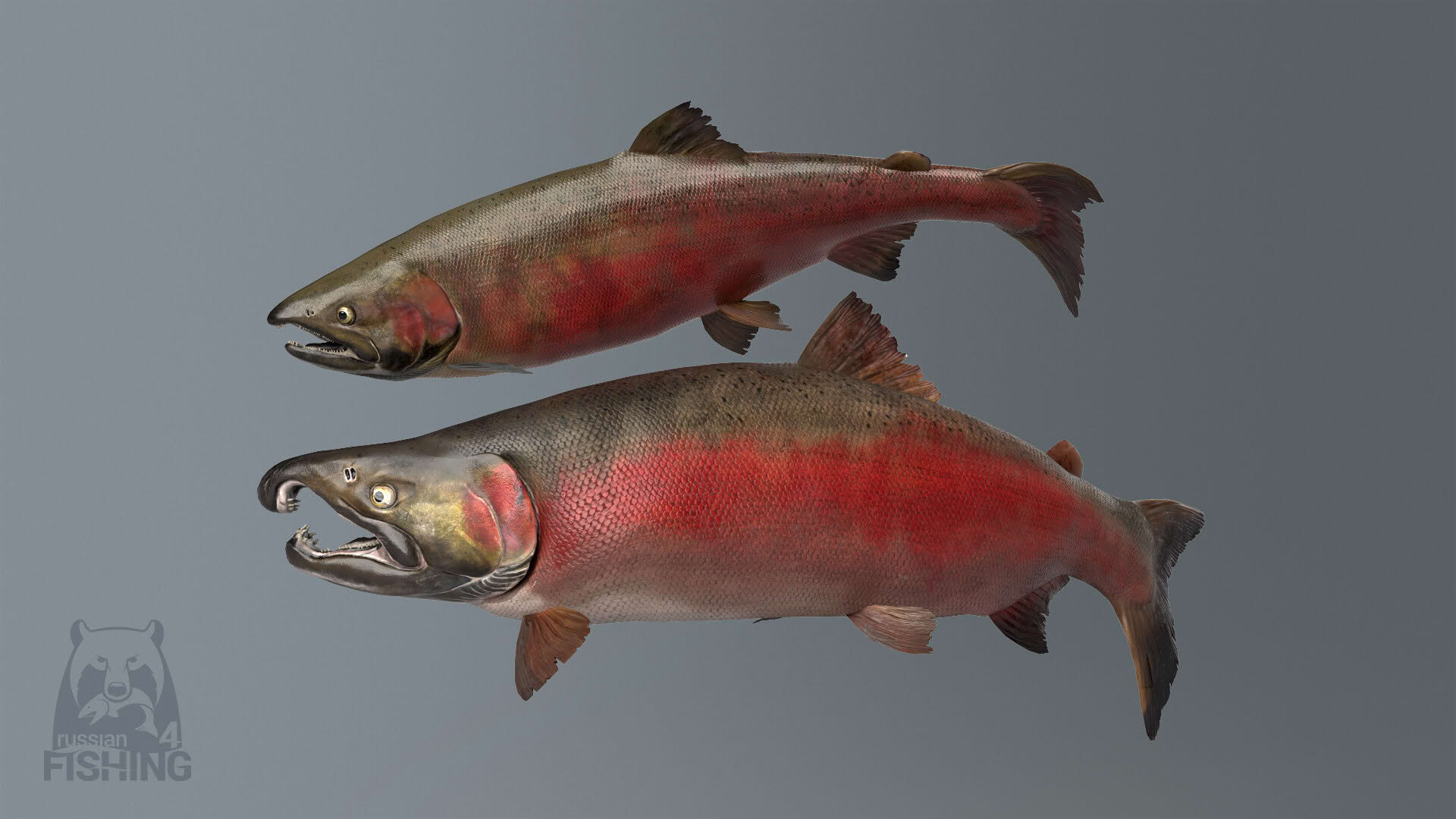 Screenshot for Russian Fishing 4
