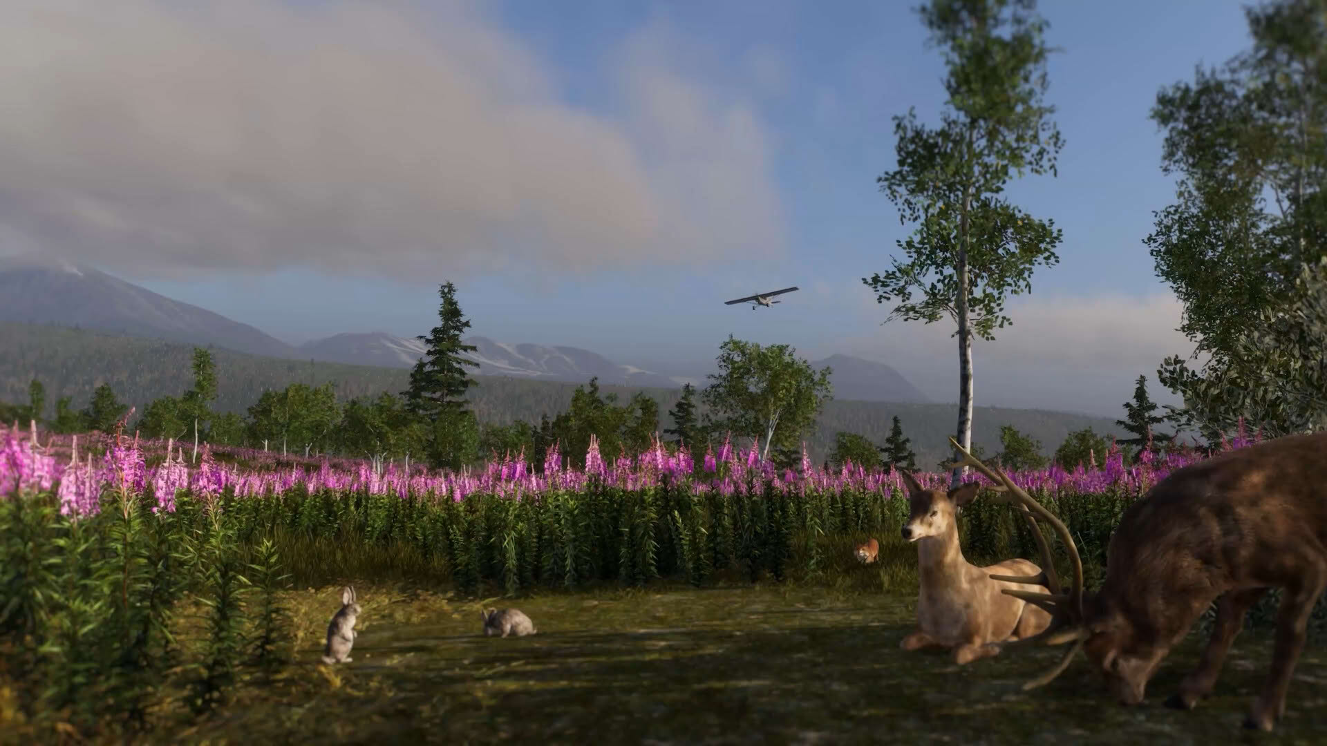 Screenshot for Deadstick: Bush Flight Simulator