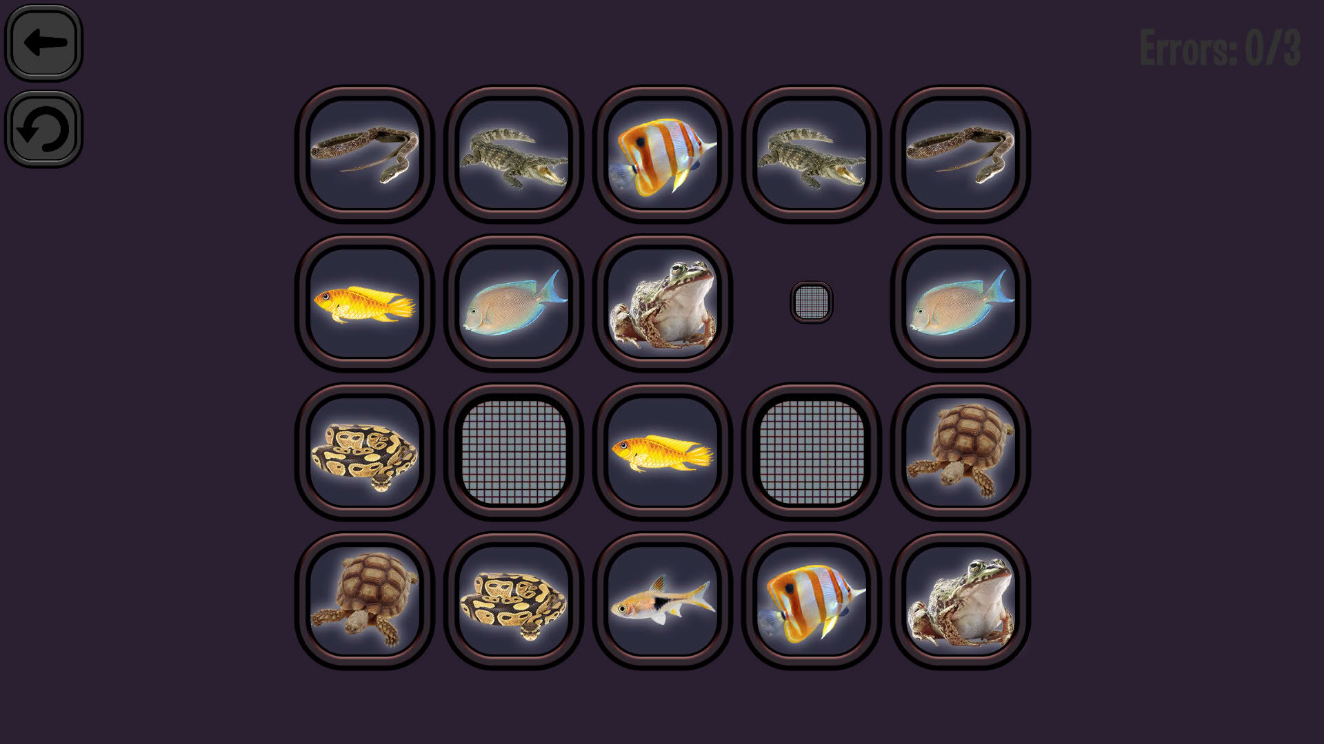 Screenshot for Animals Memory: Underwater Kingdom