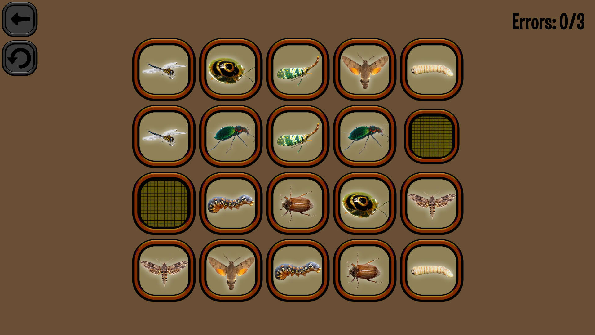 Screenshot for Animals Memory: Insect