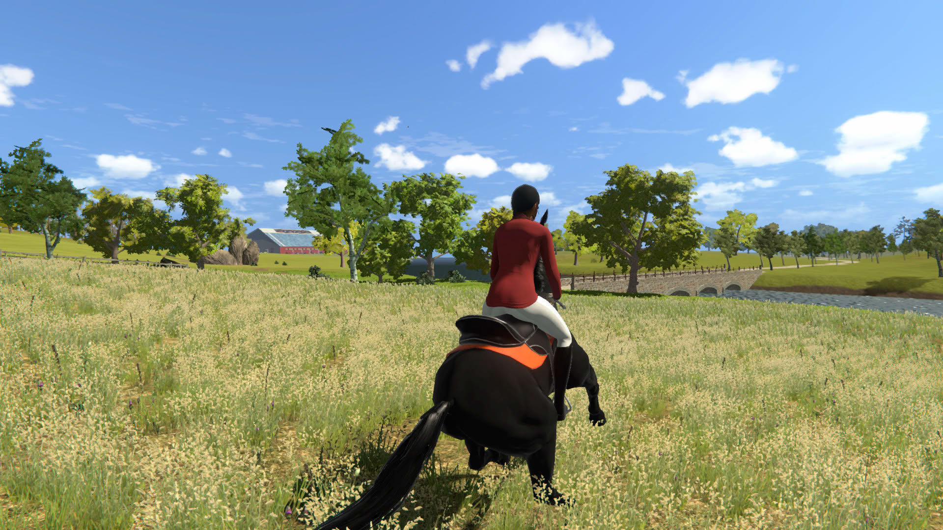 Screenshot for My Little Riding Champion