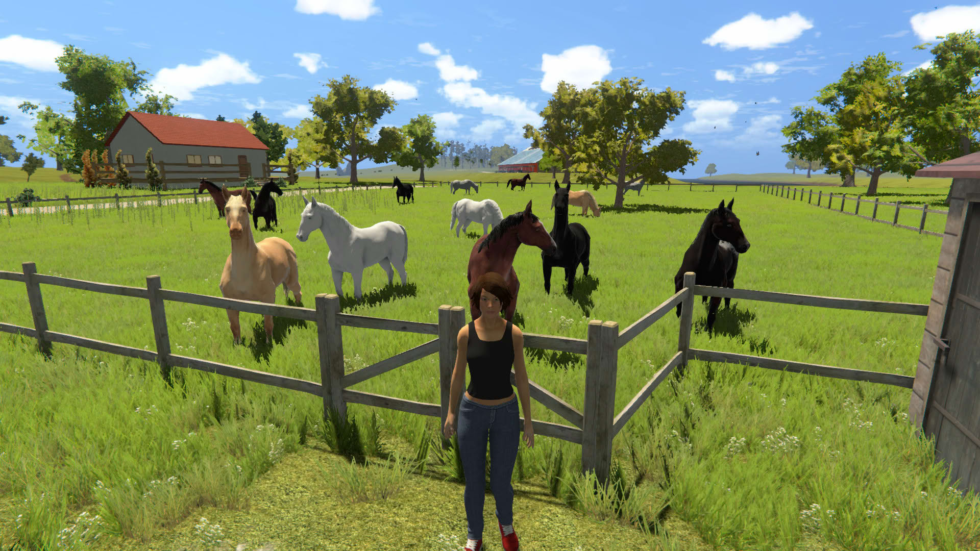 Screenshot for My Little Riding Champion