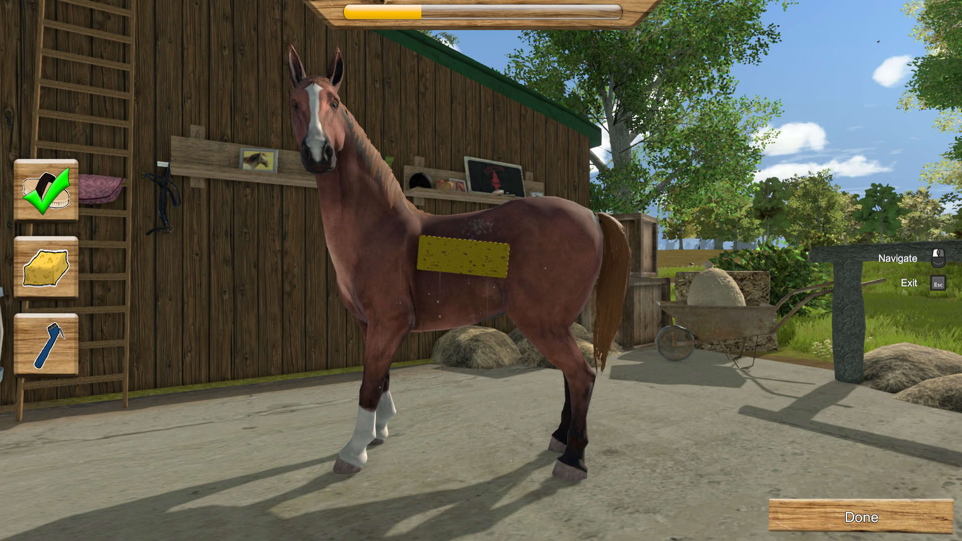 Screenshot for My Little Riding Champion
