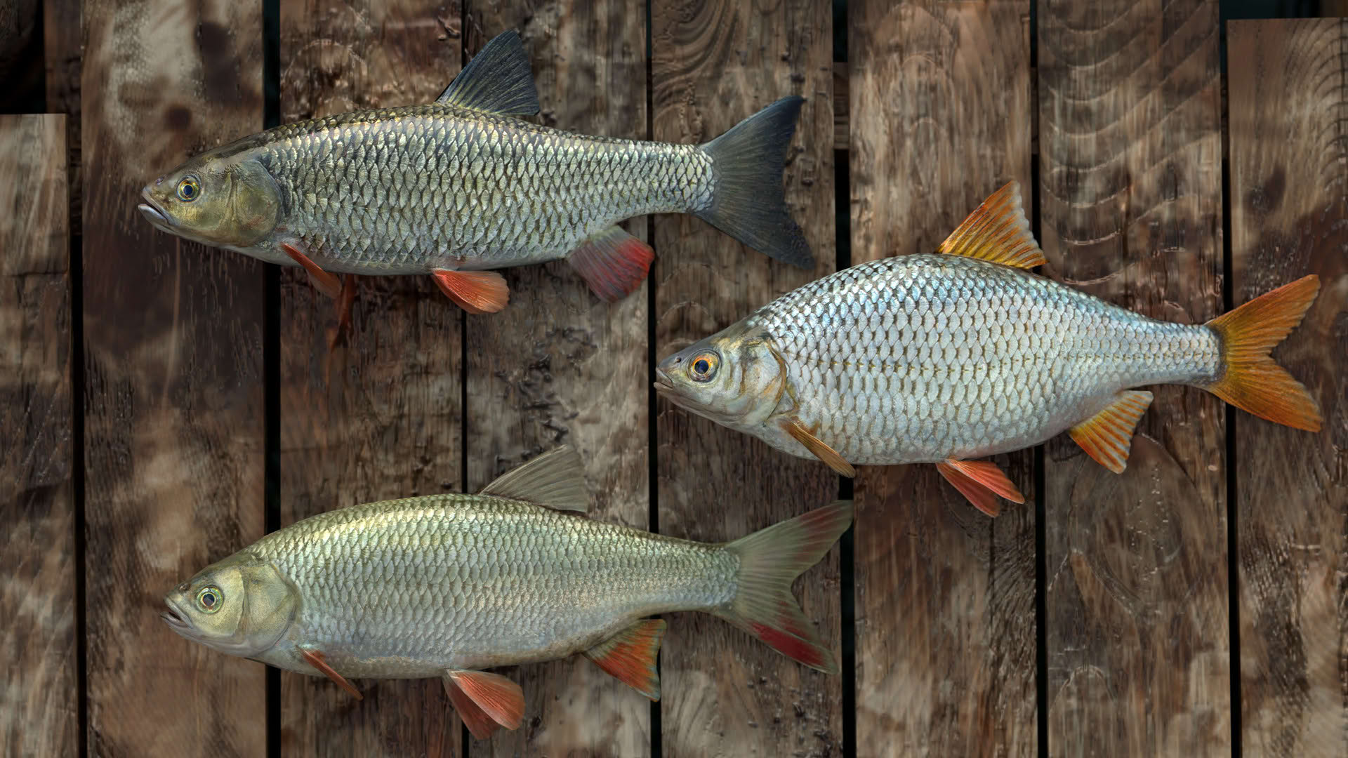 Screenshot for Professional Fishing