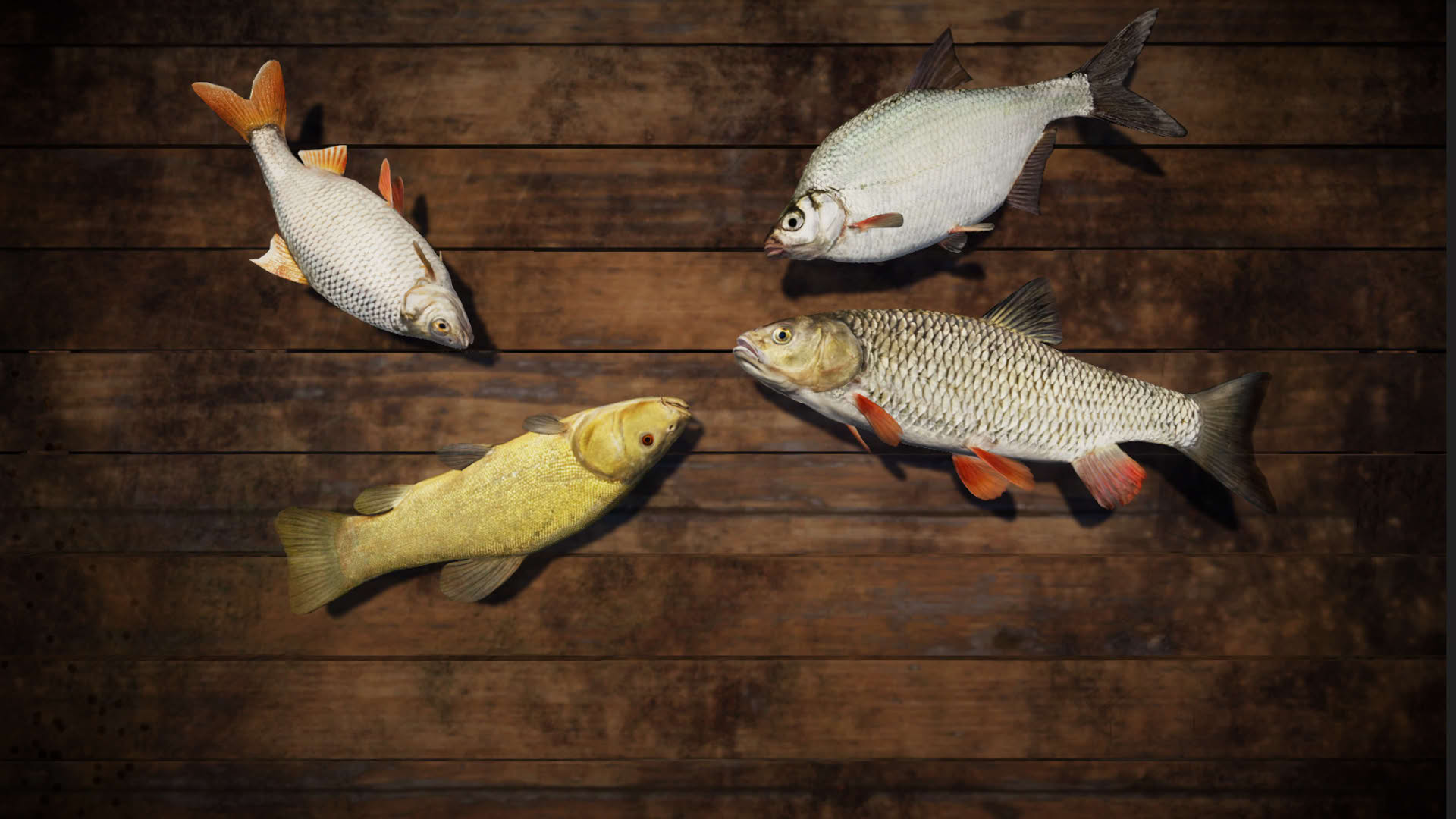 Screenshot for Professional Fishing