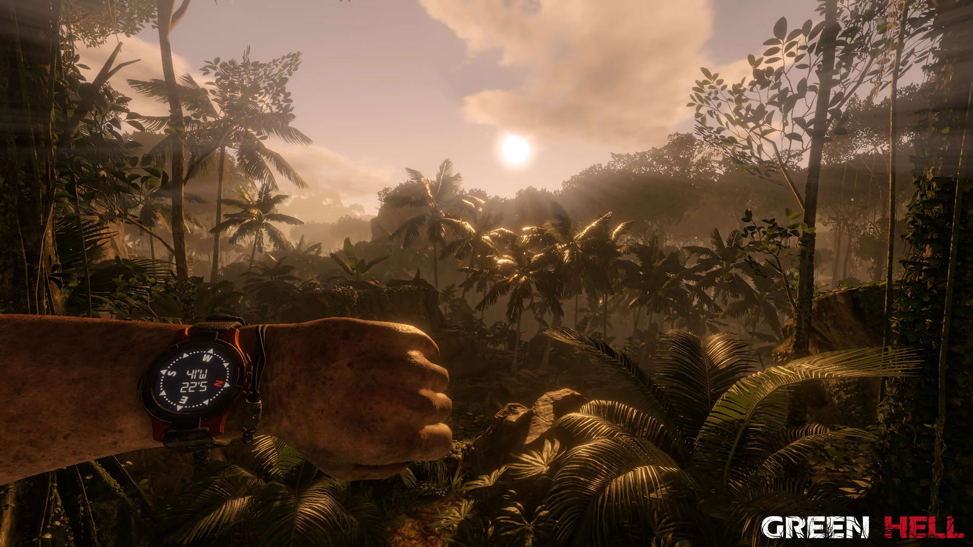 Screenshot for Green Hell