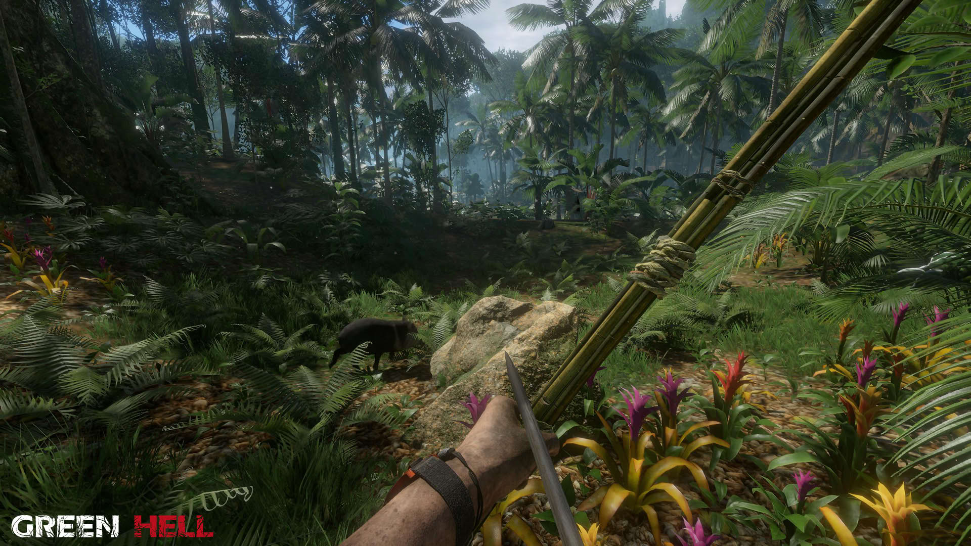 Screenshot for Green Hell