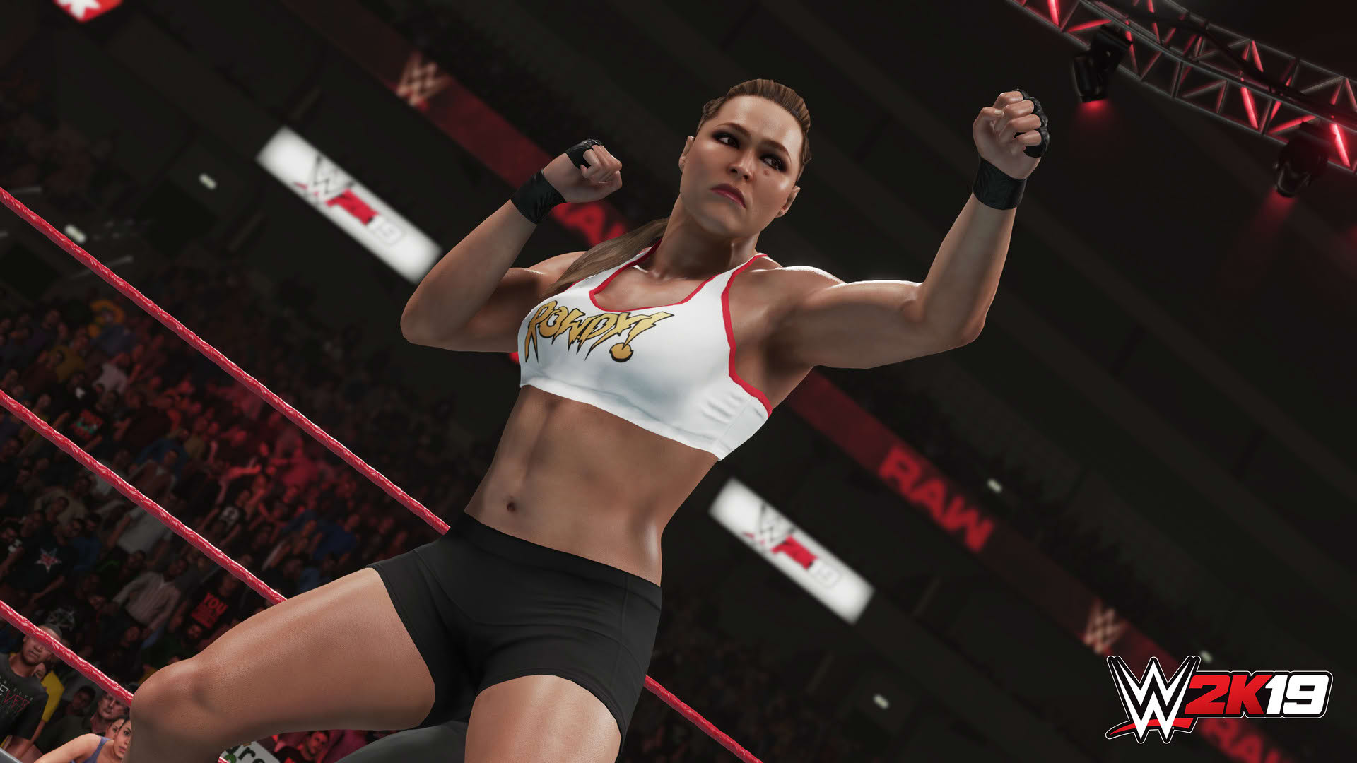 Screenshot for WWE 2K19