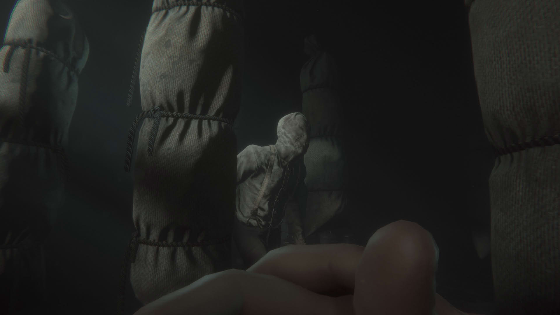 Screenshot for Maid of Sker