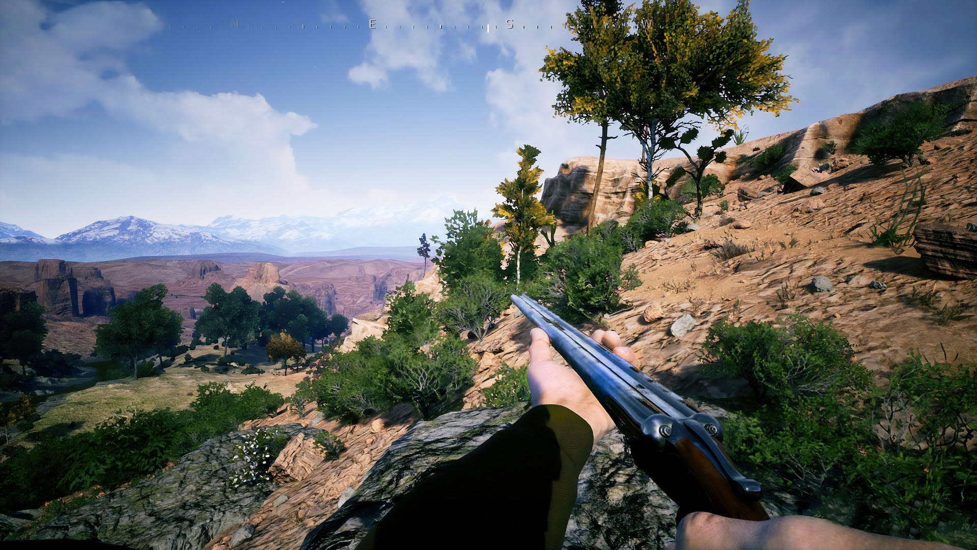 Screenshot for Outlaws of the Old West
