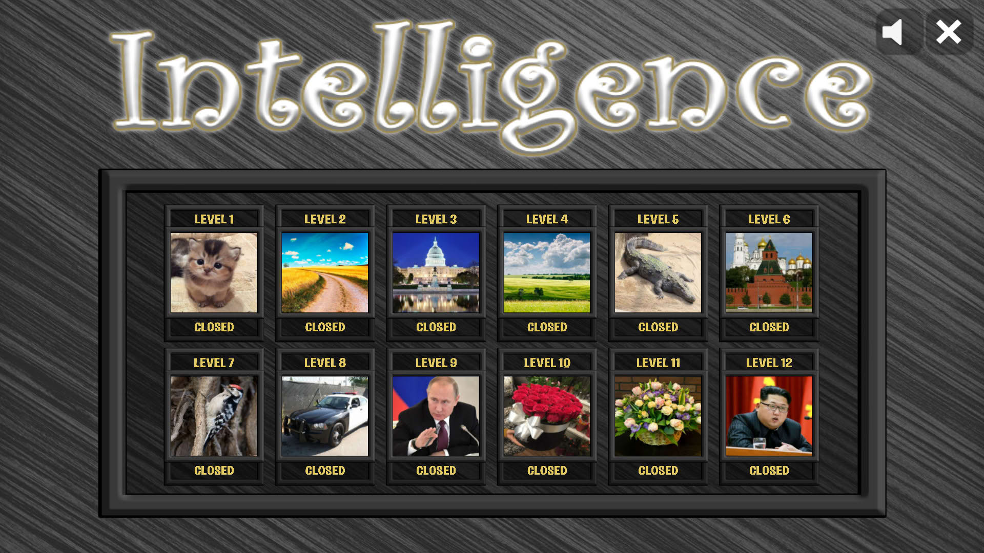 Screenshot for Intelligence