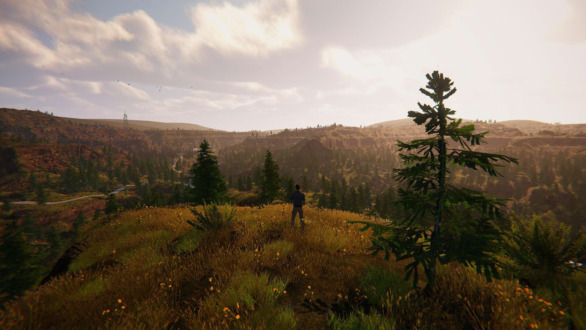 Screenshot for Dinosaur Fossil Hunter