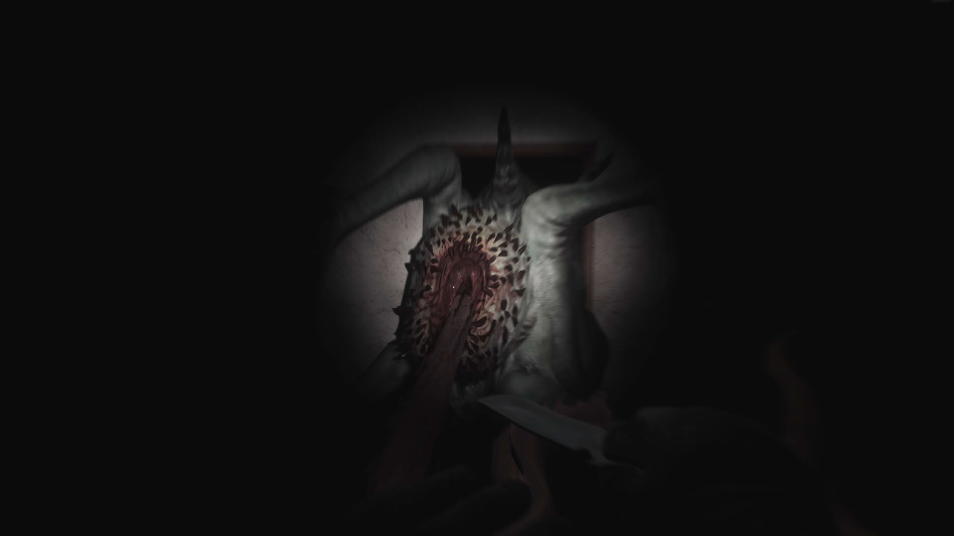 Screenshot for SCP: 5K