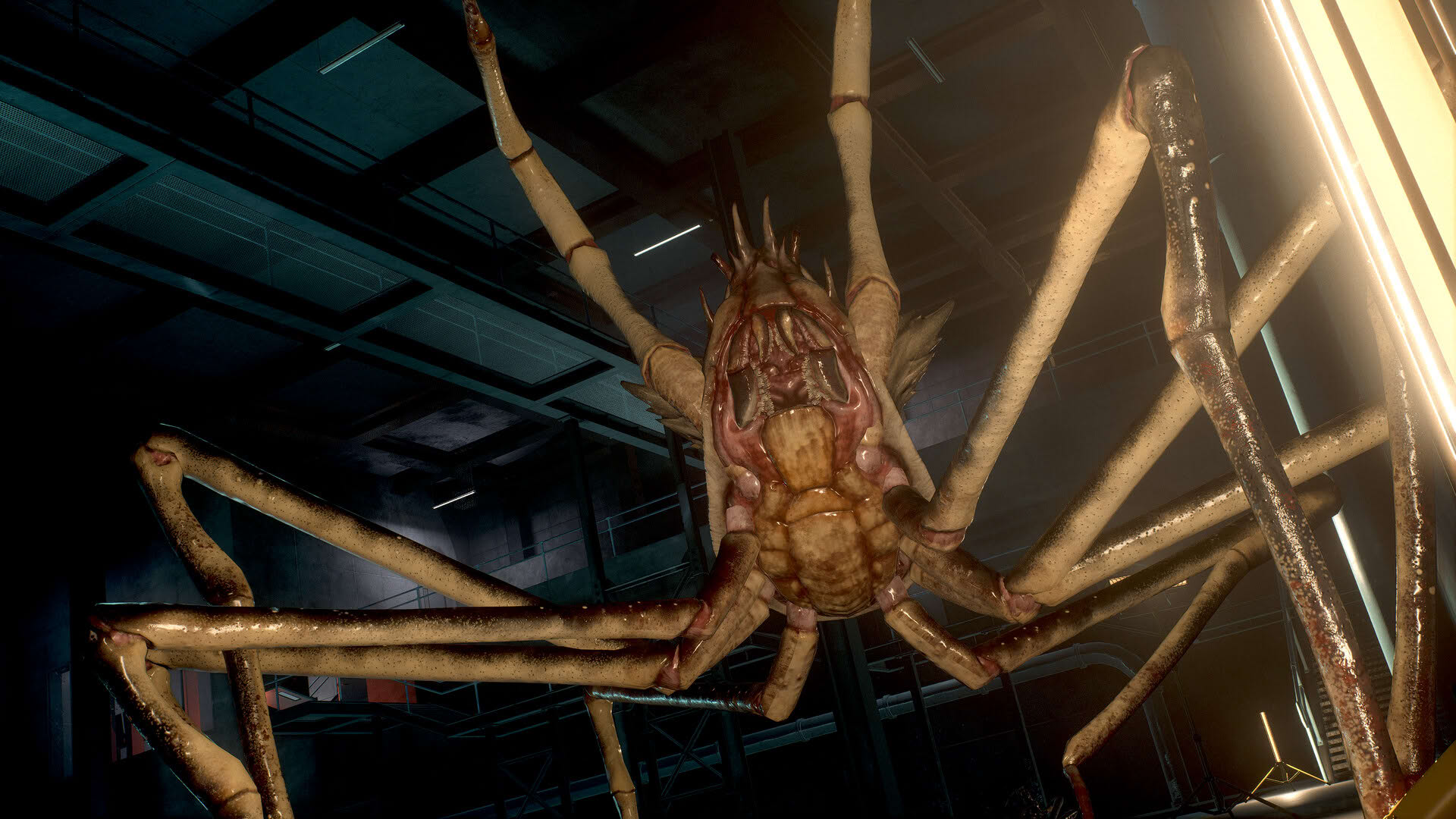 Screenshot for SCP: 5K