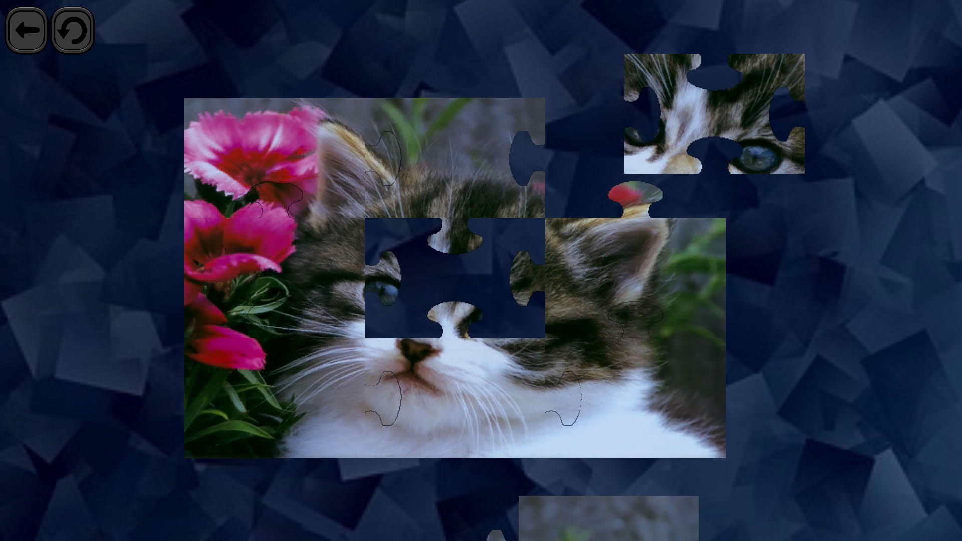 Screenshot for Puzzles for smart: Cats