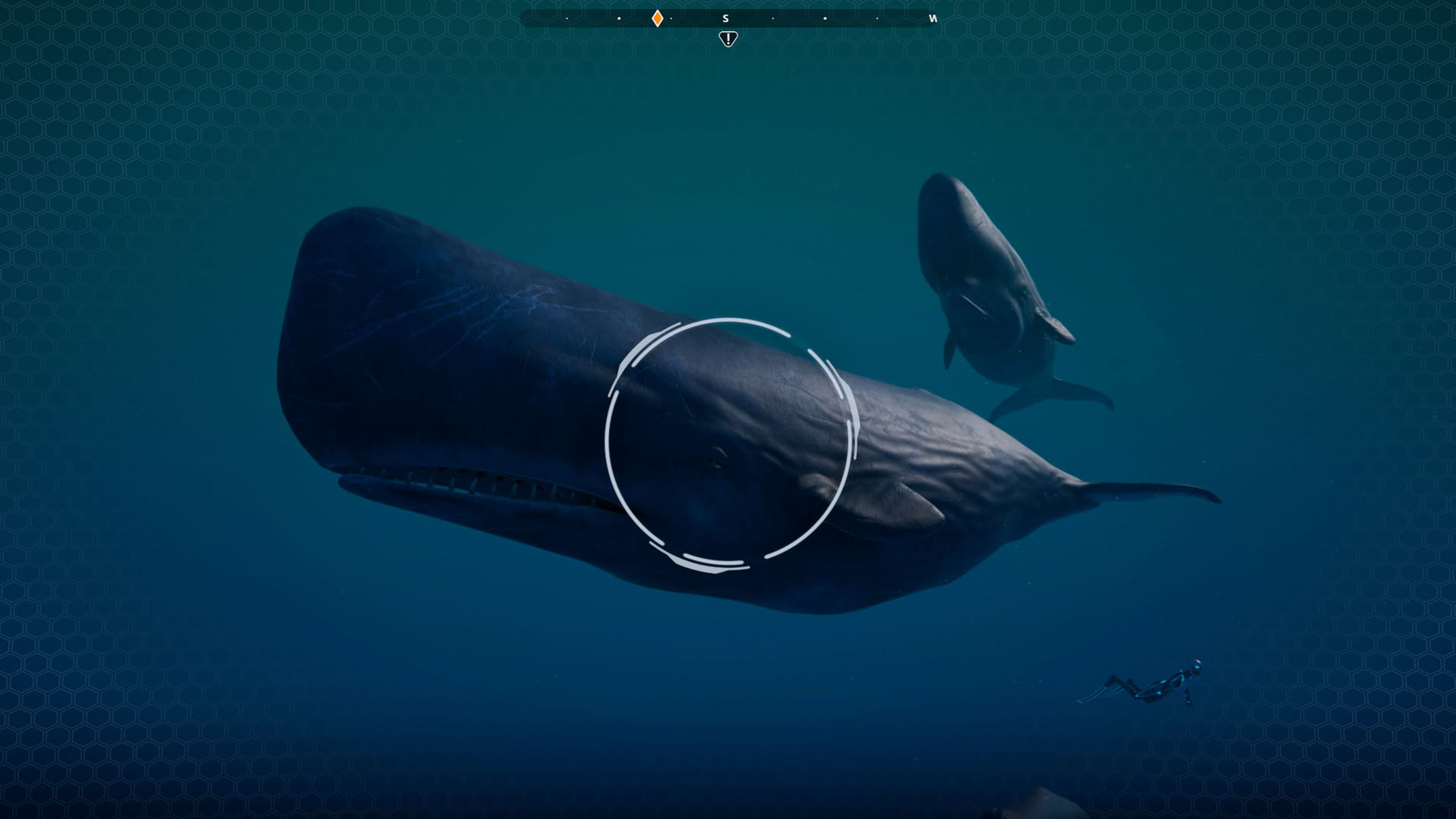 Screenshot for Beyond Blue