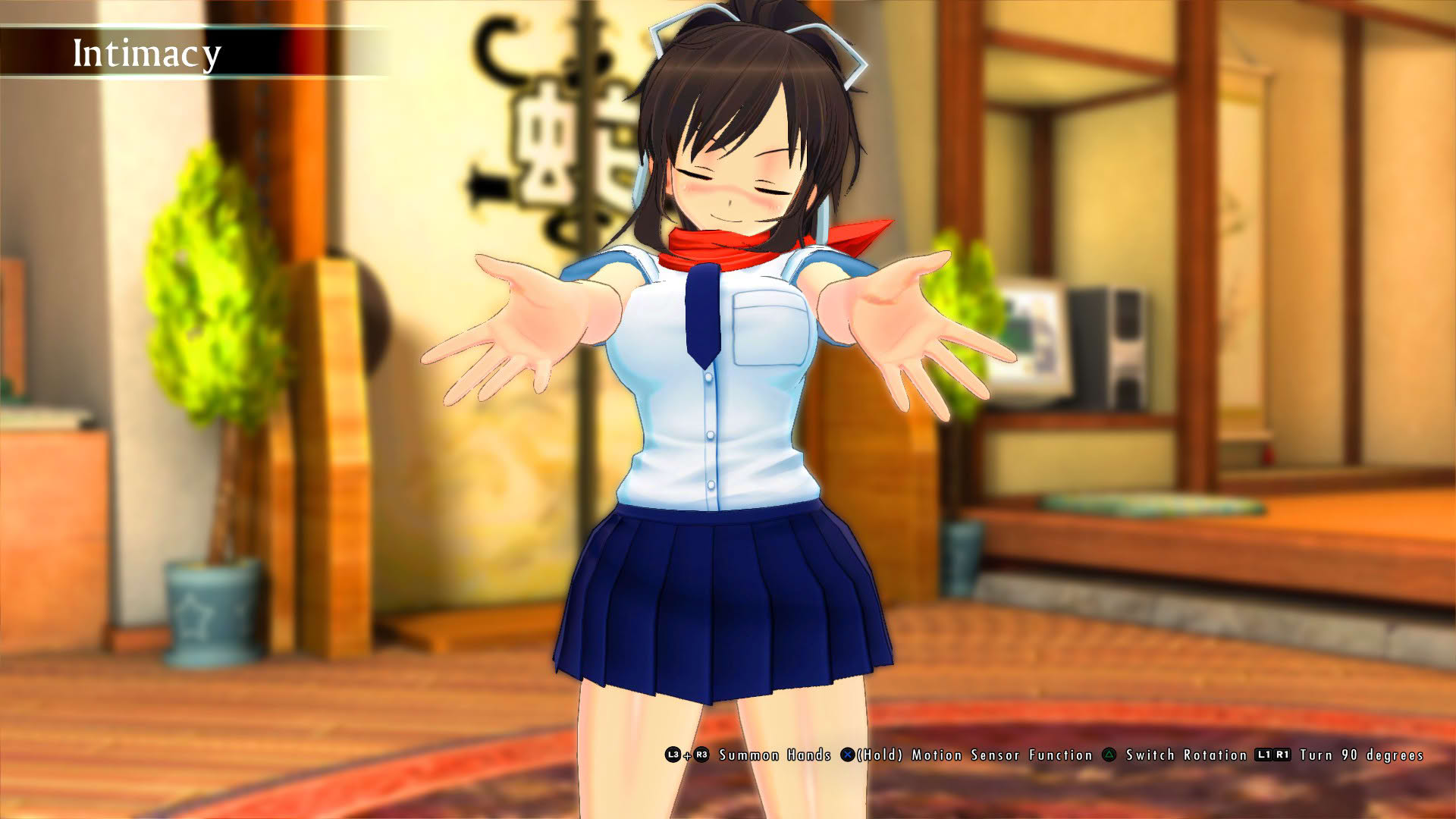 Screenshot for Senran Kagura Burst Re:Newal