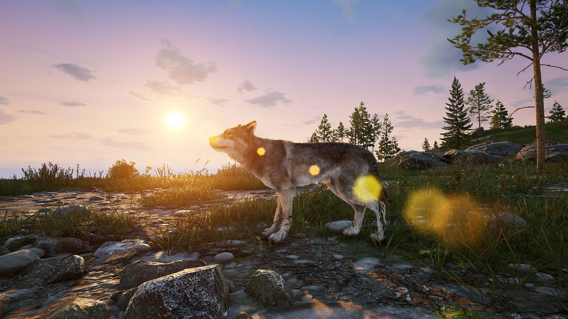 Screenshot for Deadside