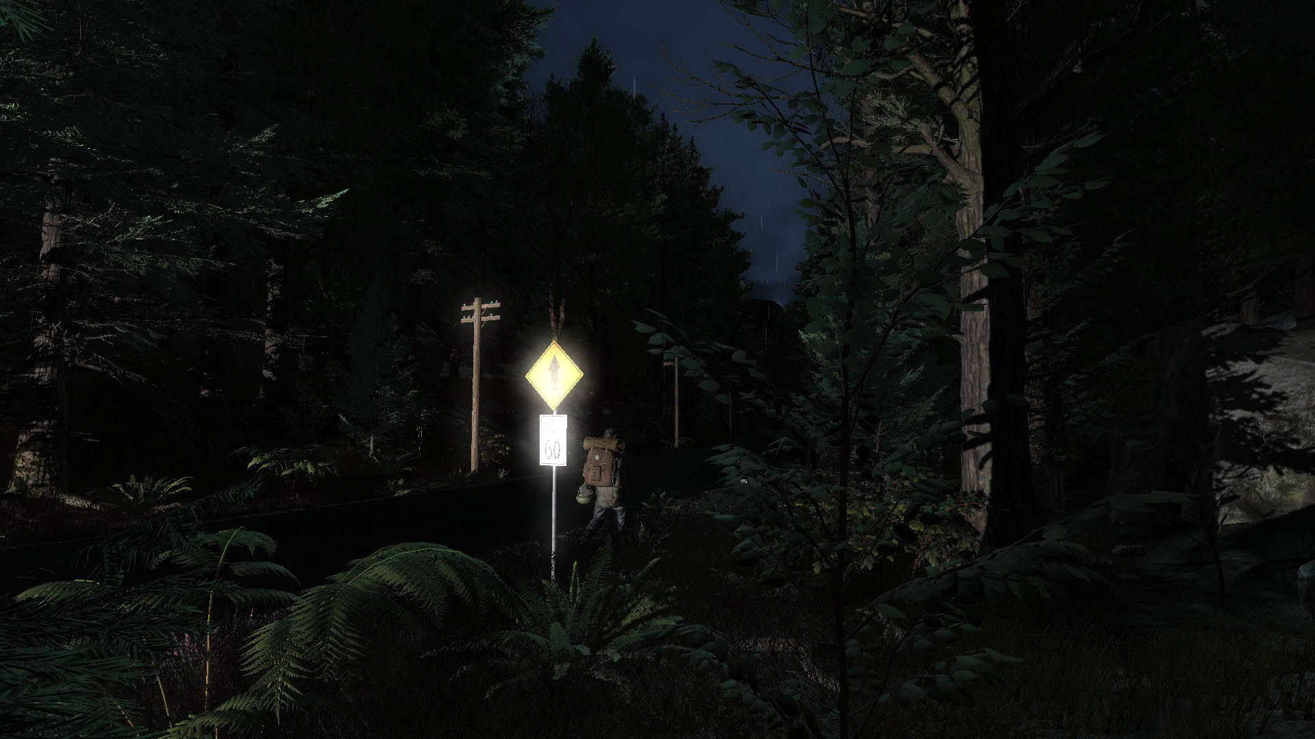 Screenshot for Pineview Drive: Homeless
