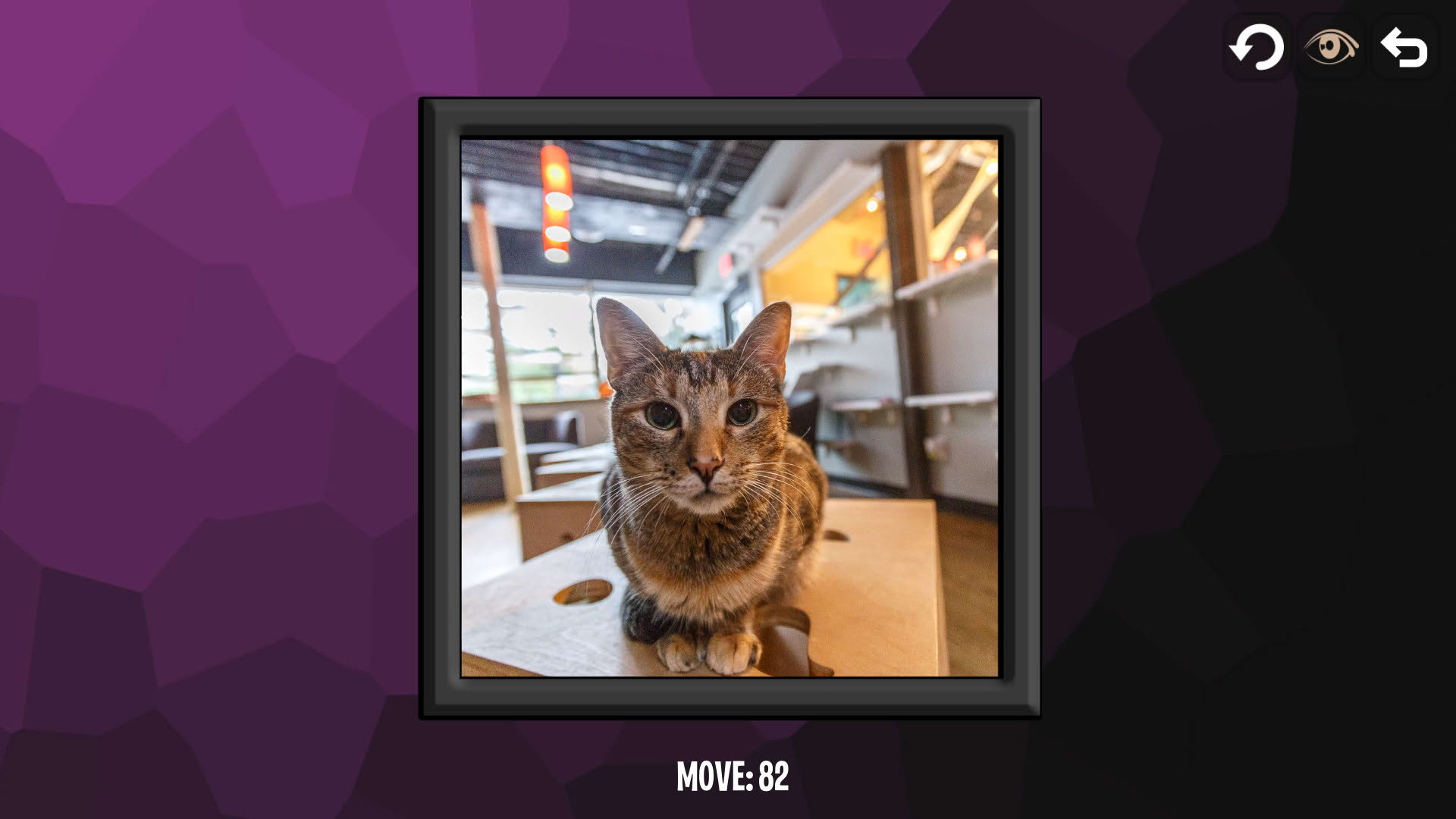 Screenshot for Intelligence: Cats