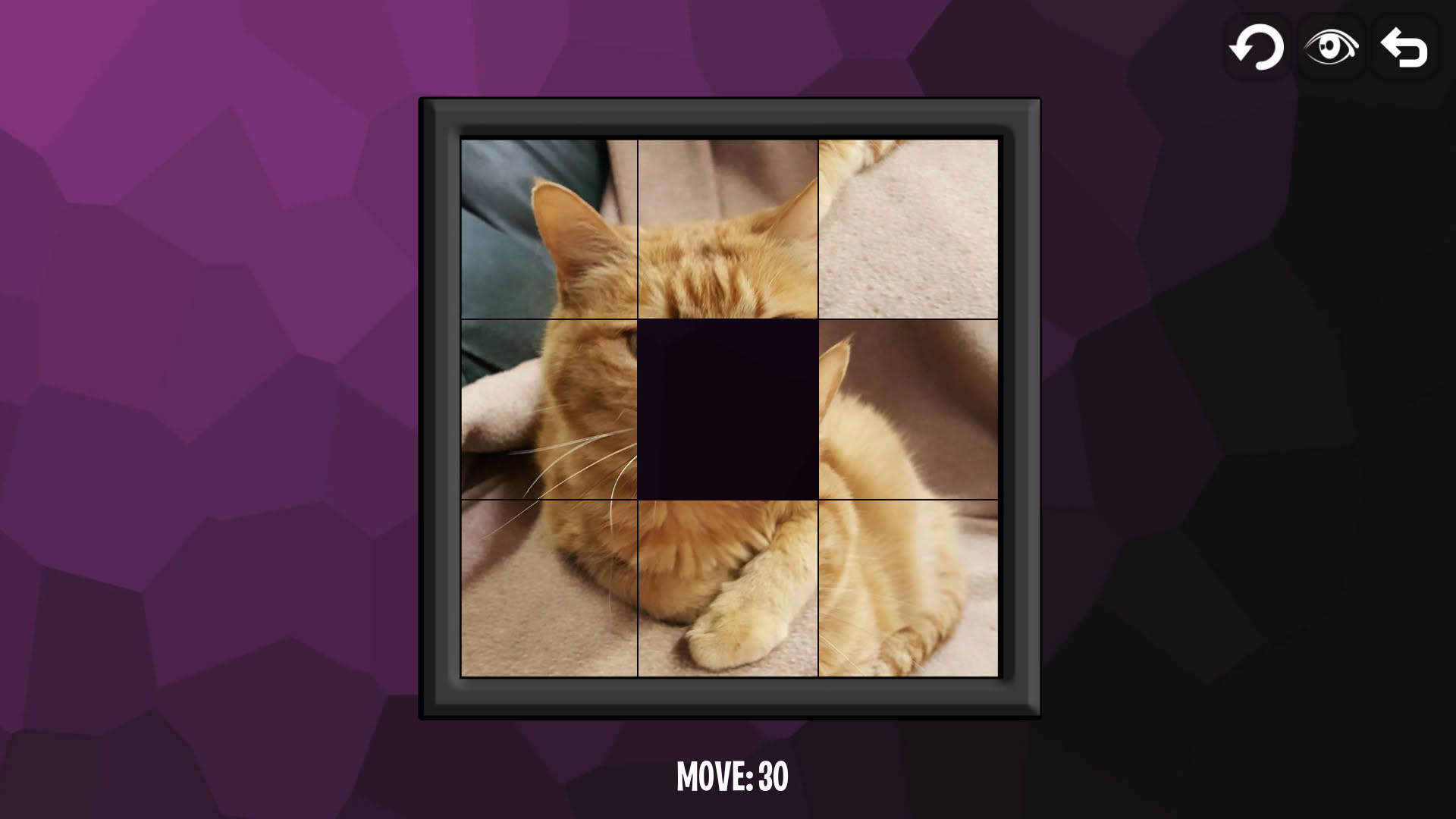 Screenshot for Intelligence: Cats
