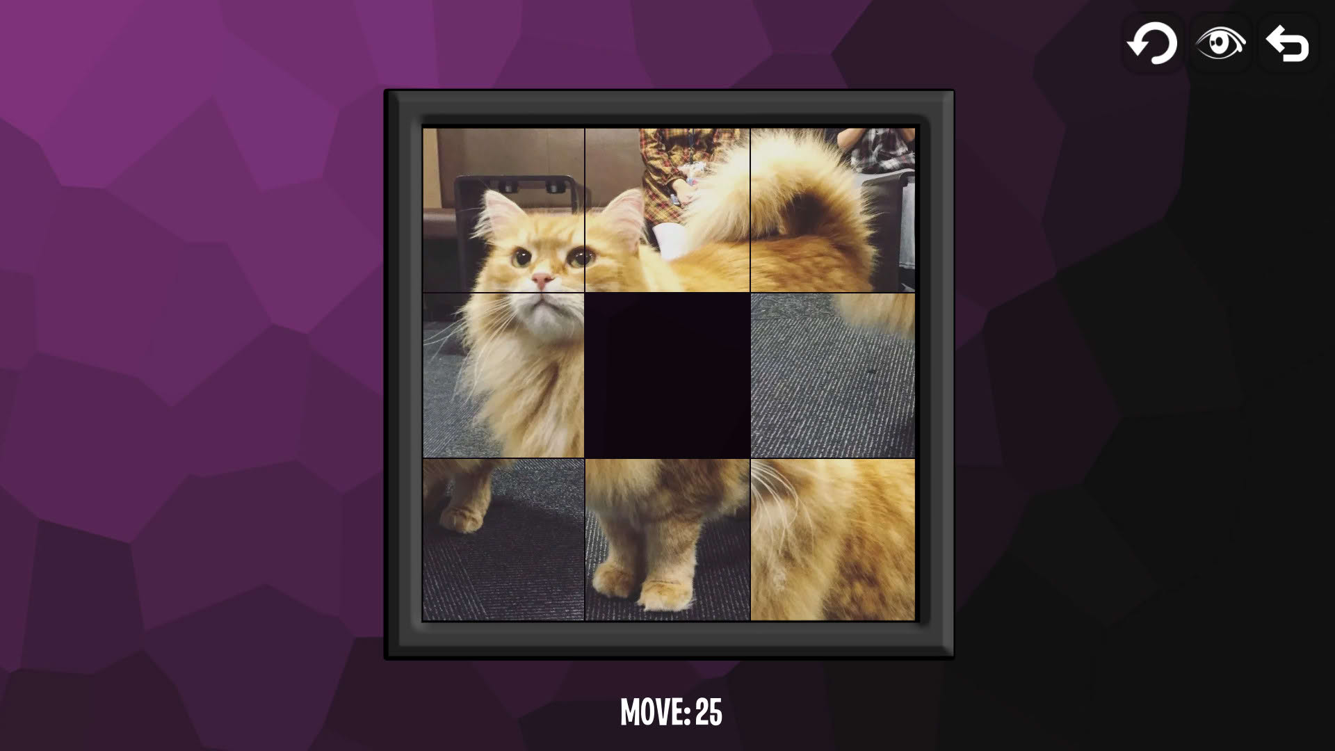 Screenshot for Intelligence: Cats