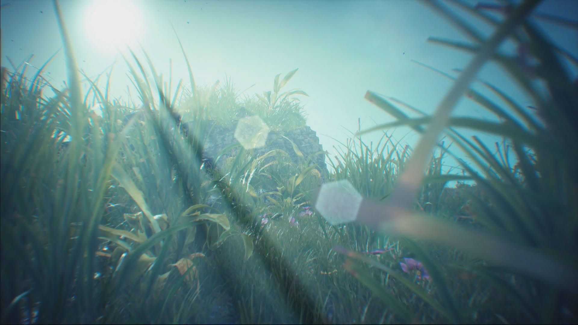 Screenshot for Adome