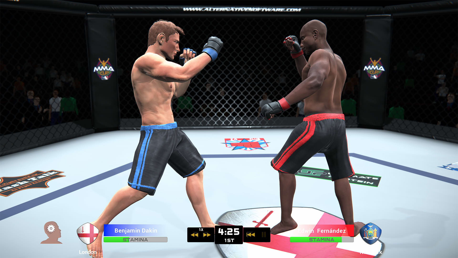 Screenshot for MMA Team Manager