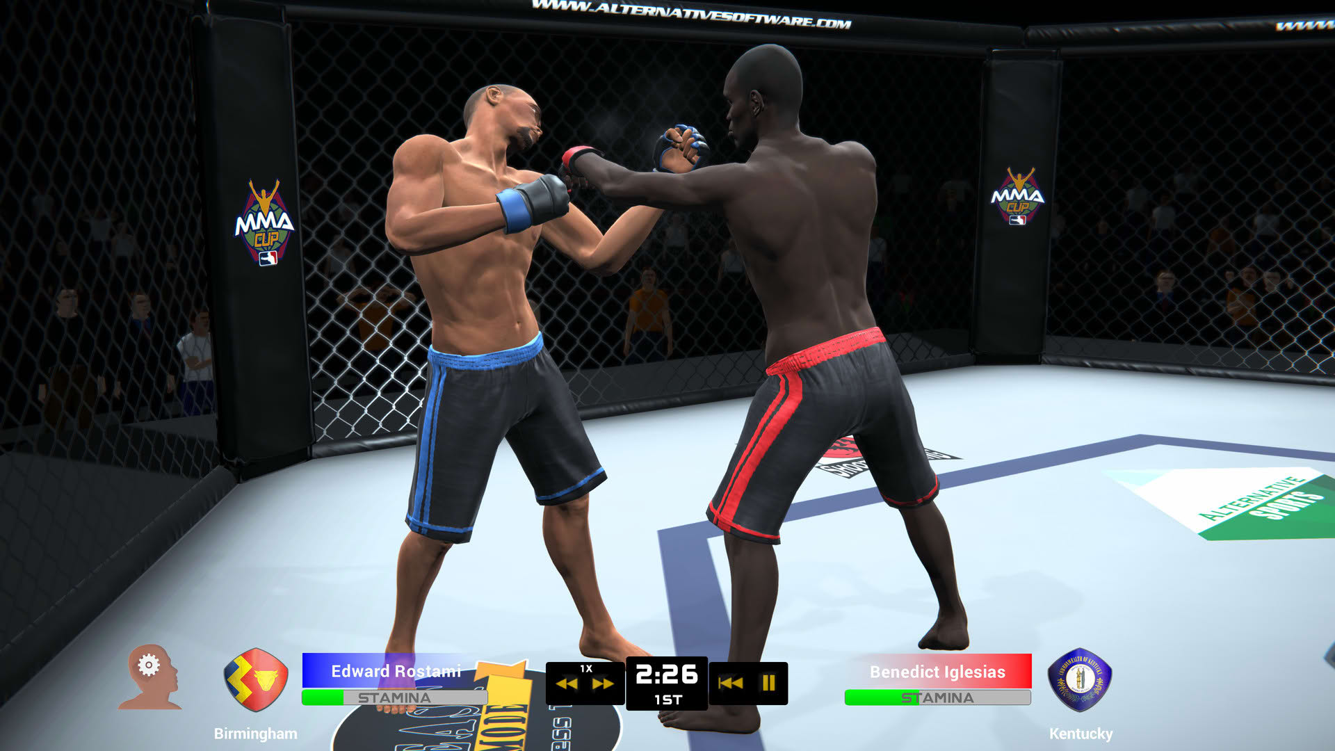 Screenshot for MMA Team Manager