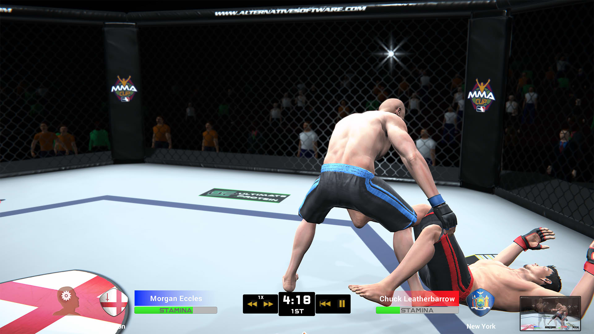 Screenshot for MMA Team Manager