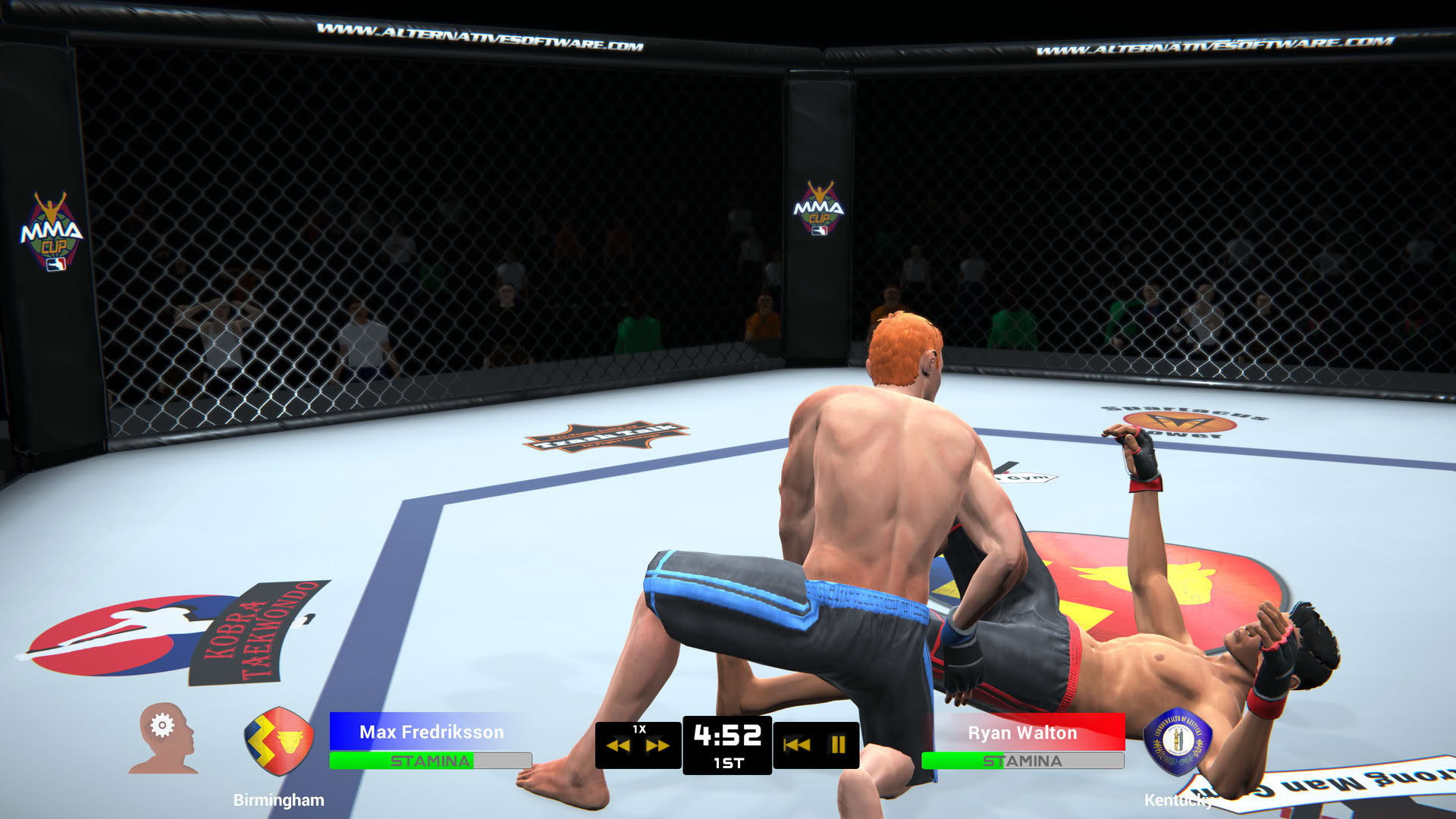 Screenshot for MMA Team Manager
