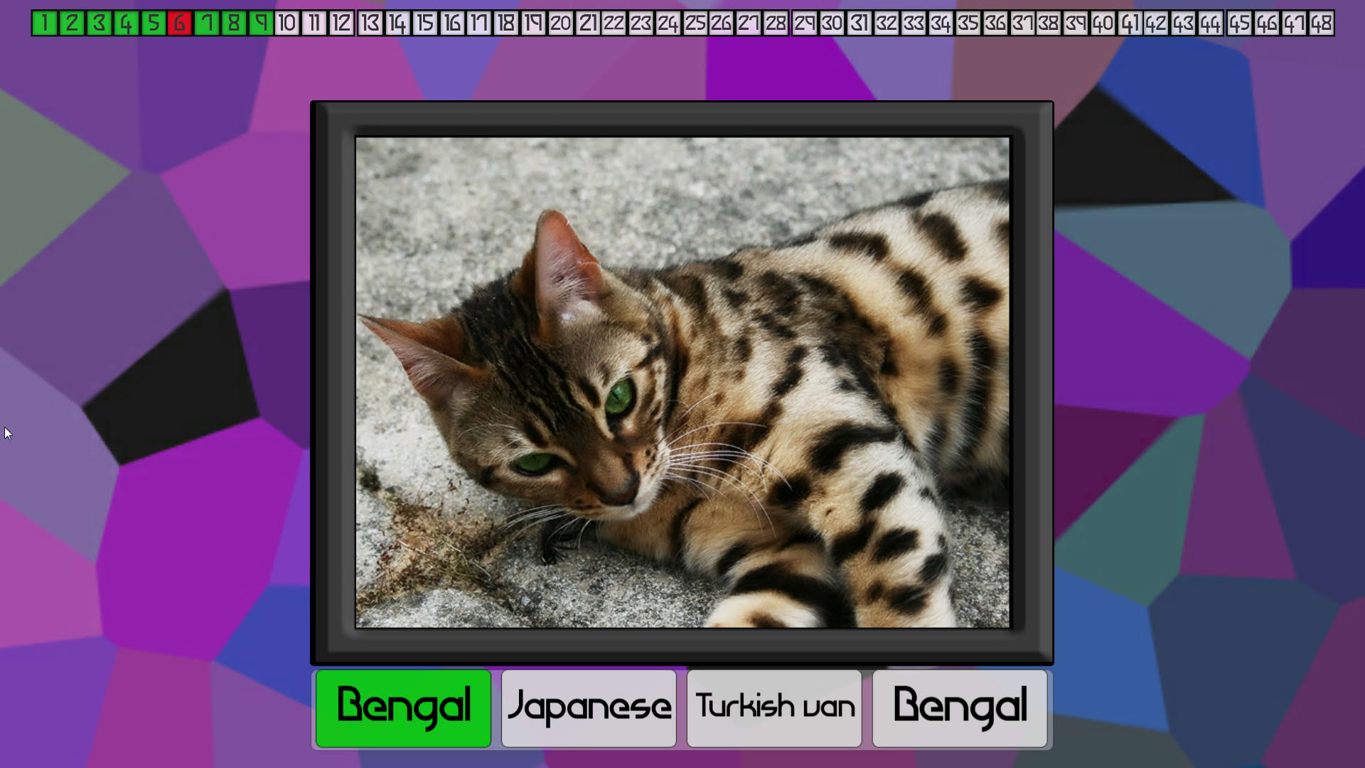 Screenshot for Test Your Knowledge: Cats