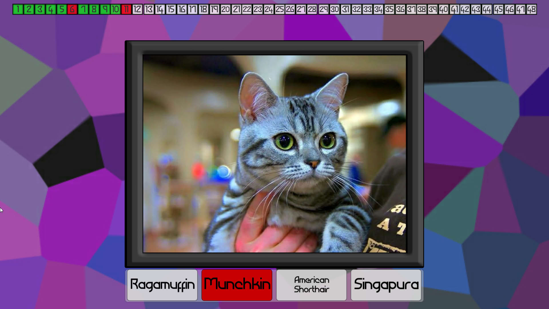Screenshot for Test Your Knowledge: Cats