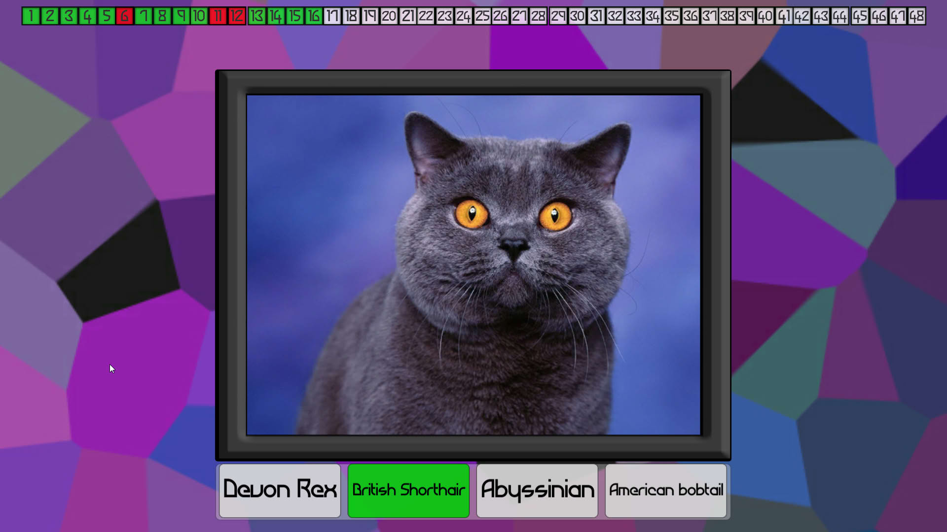 Screenshot for Test Your Knowledge: Cats