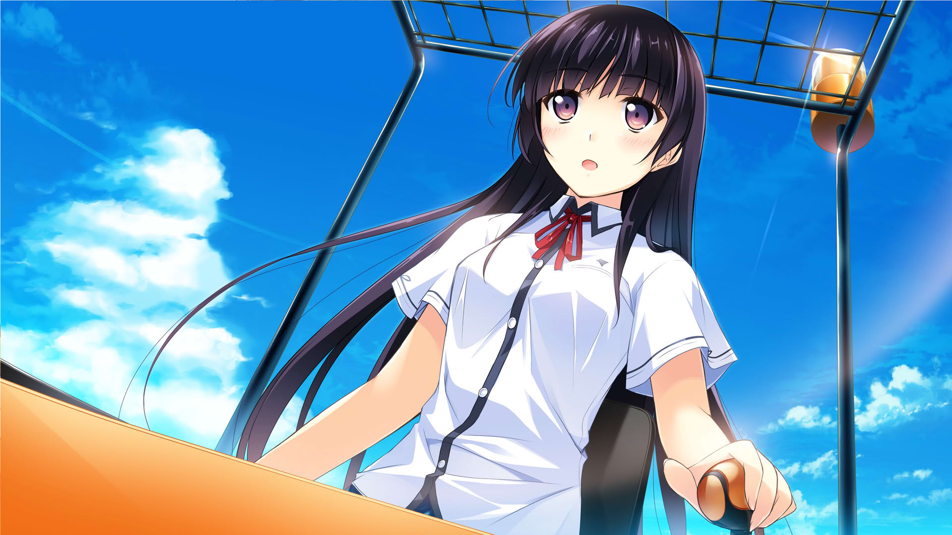 Screenshot for If My Heart Had Wings: Flight Diary