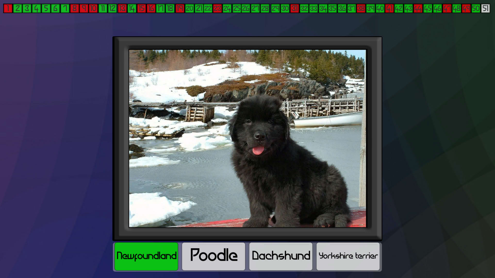 Screenshot for Test your knowledge: Dogs