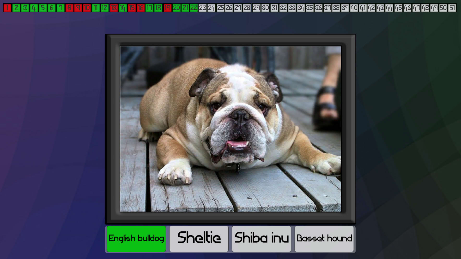 Screenshot for Test your knowledge: Dogs