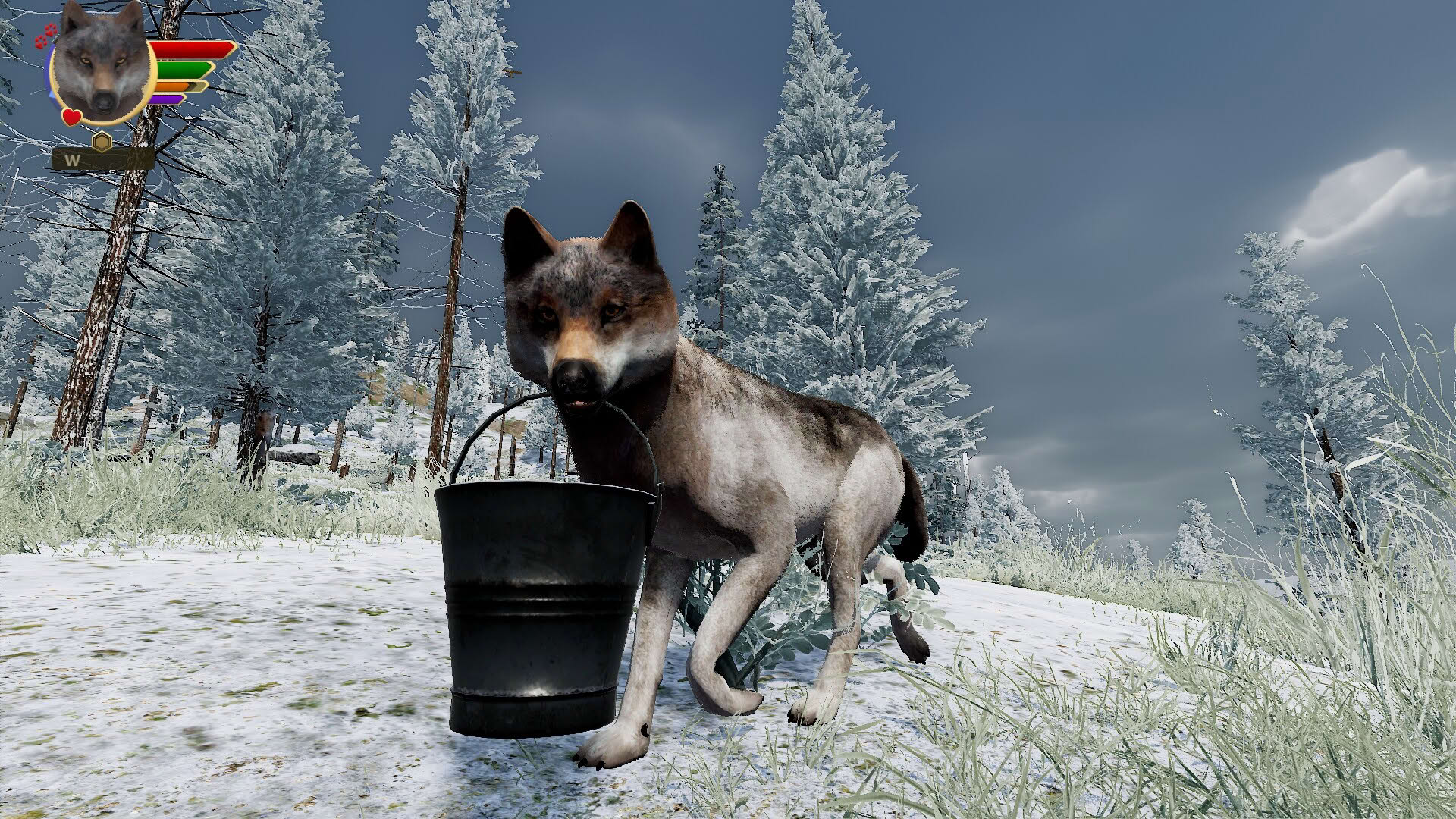 Screenshot for WolfQuest: Anniversary Edition