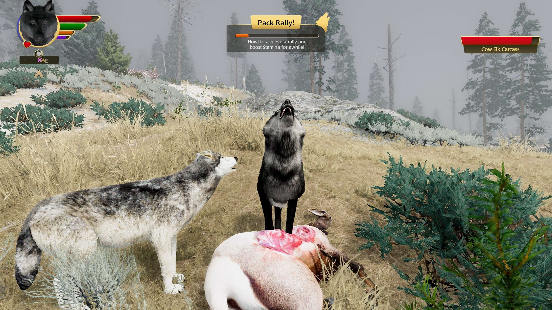 Screenshot for WolfQuest: Anniversary Edition